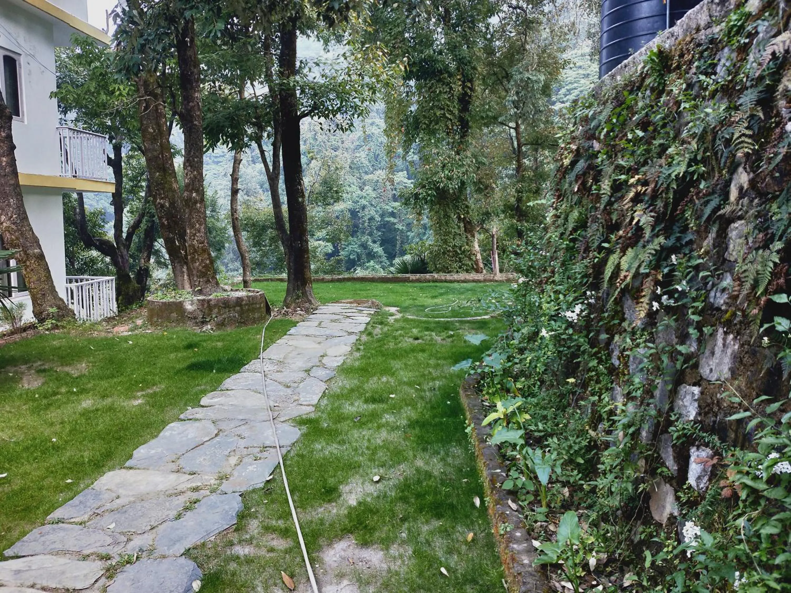 Garden in The Mountain Quail