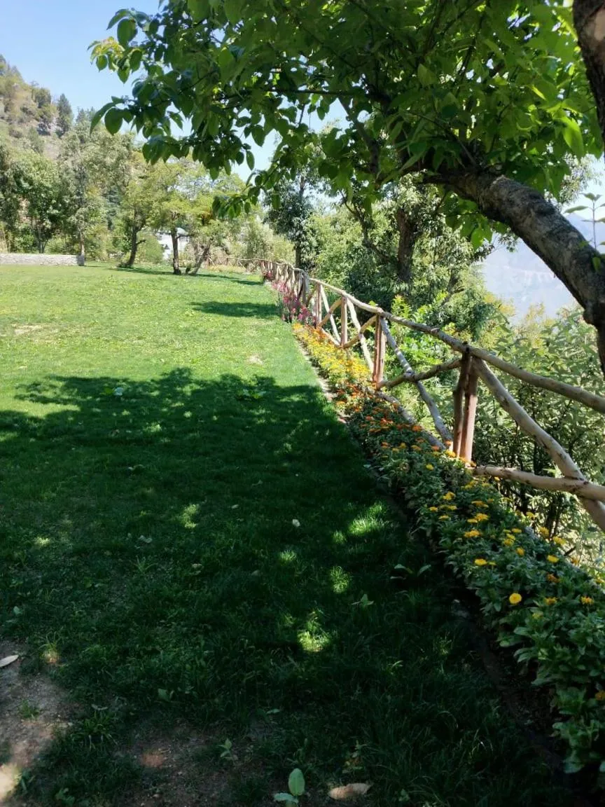 Garden in The Mountain Quail