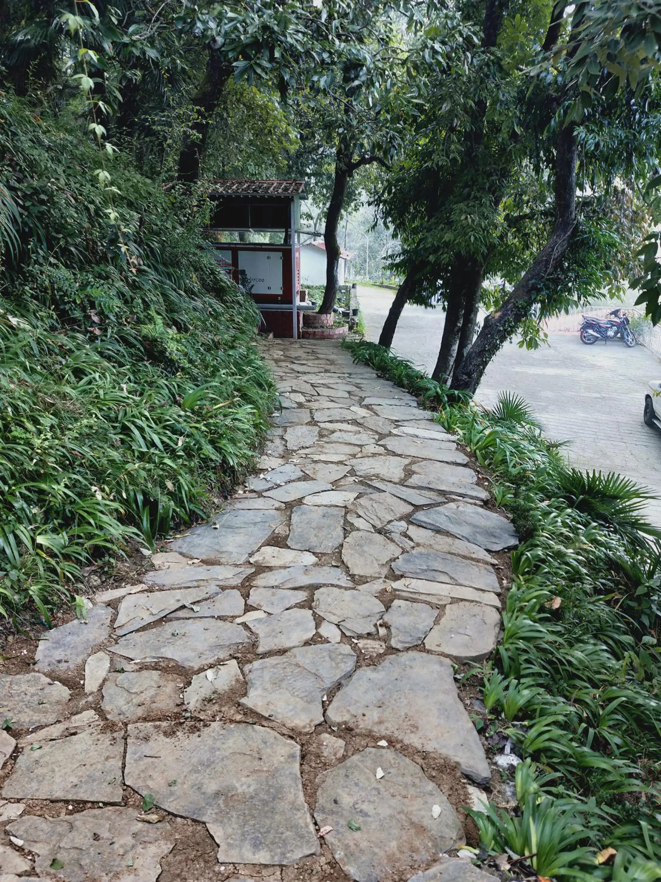 Garden in The Mountain Quail