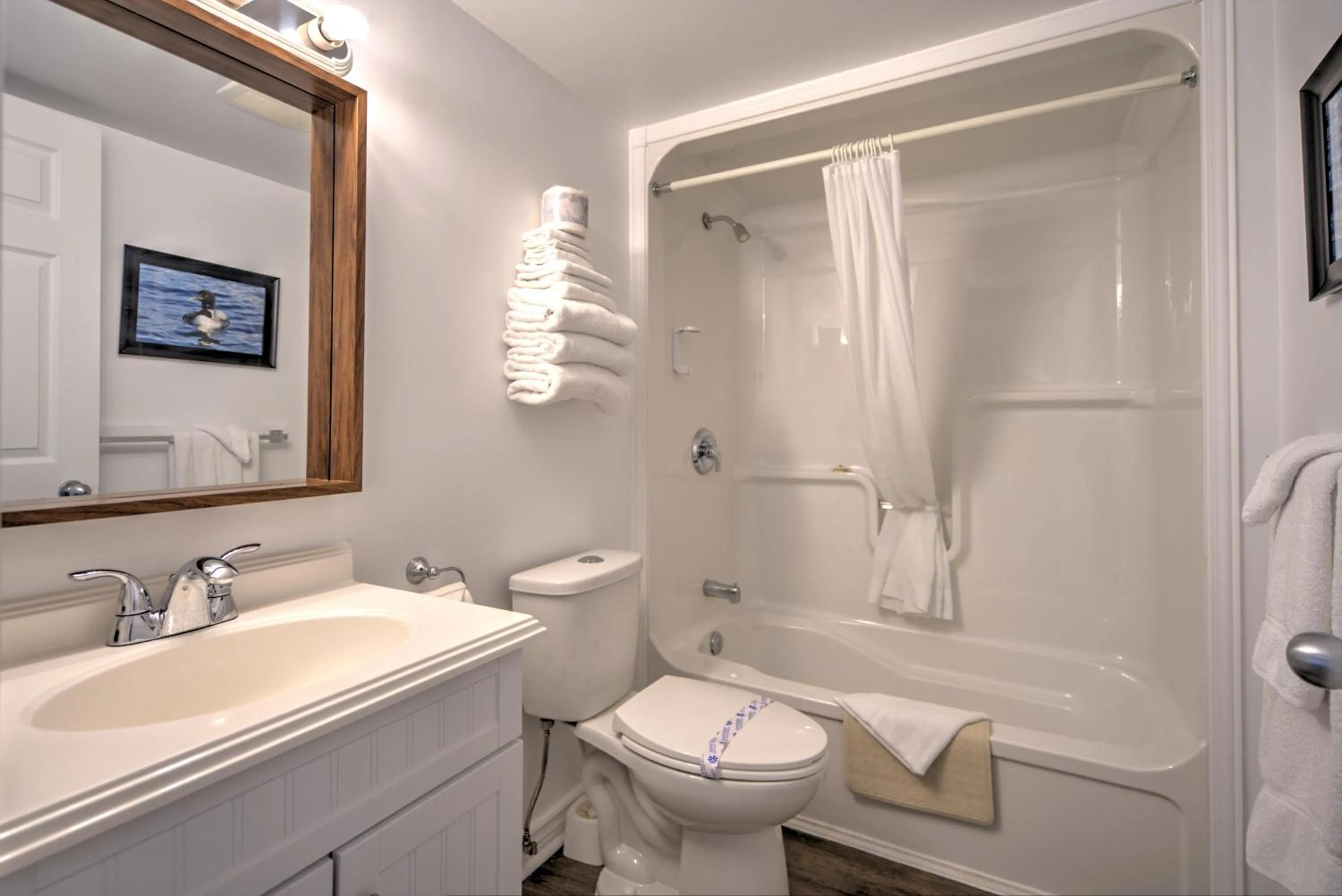 Shower in Lakeview Motel