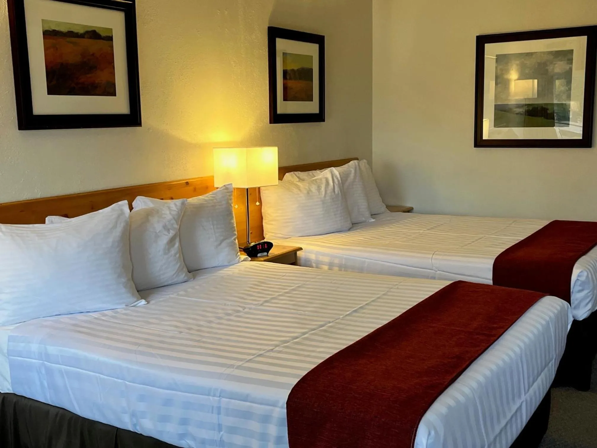 Photo of the whole room, Bed in Lakeview Motel