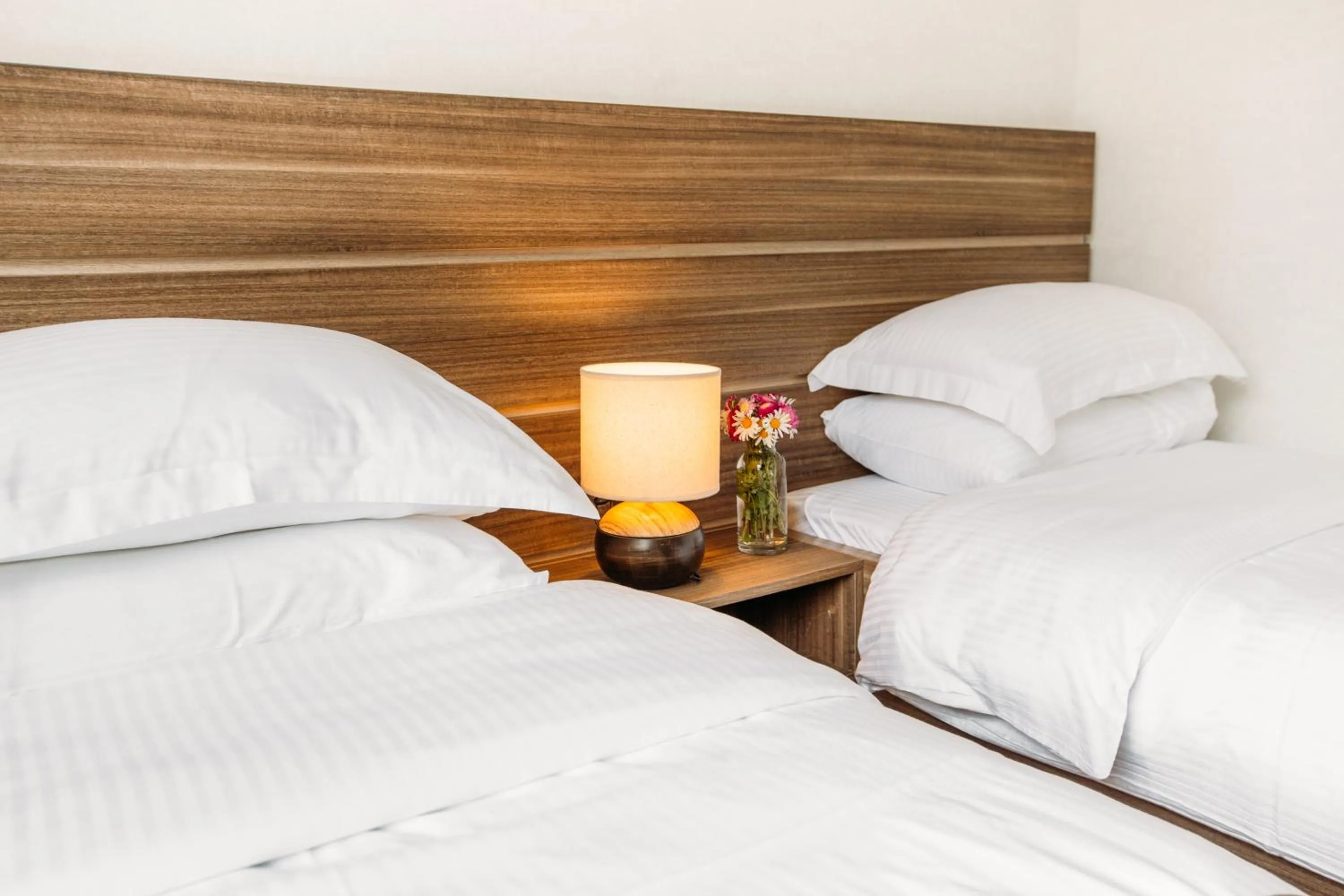 Restaurant/places to eat, Bed in Mount Inn Kazbegi