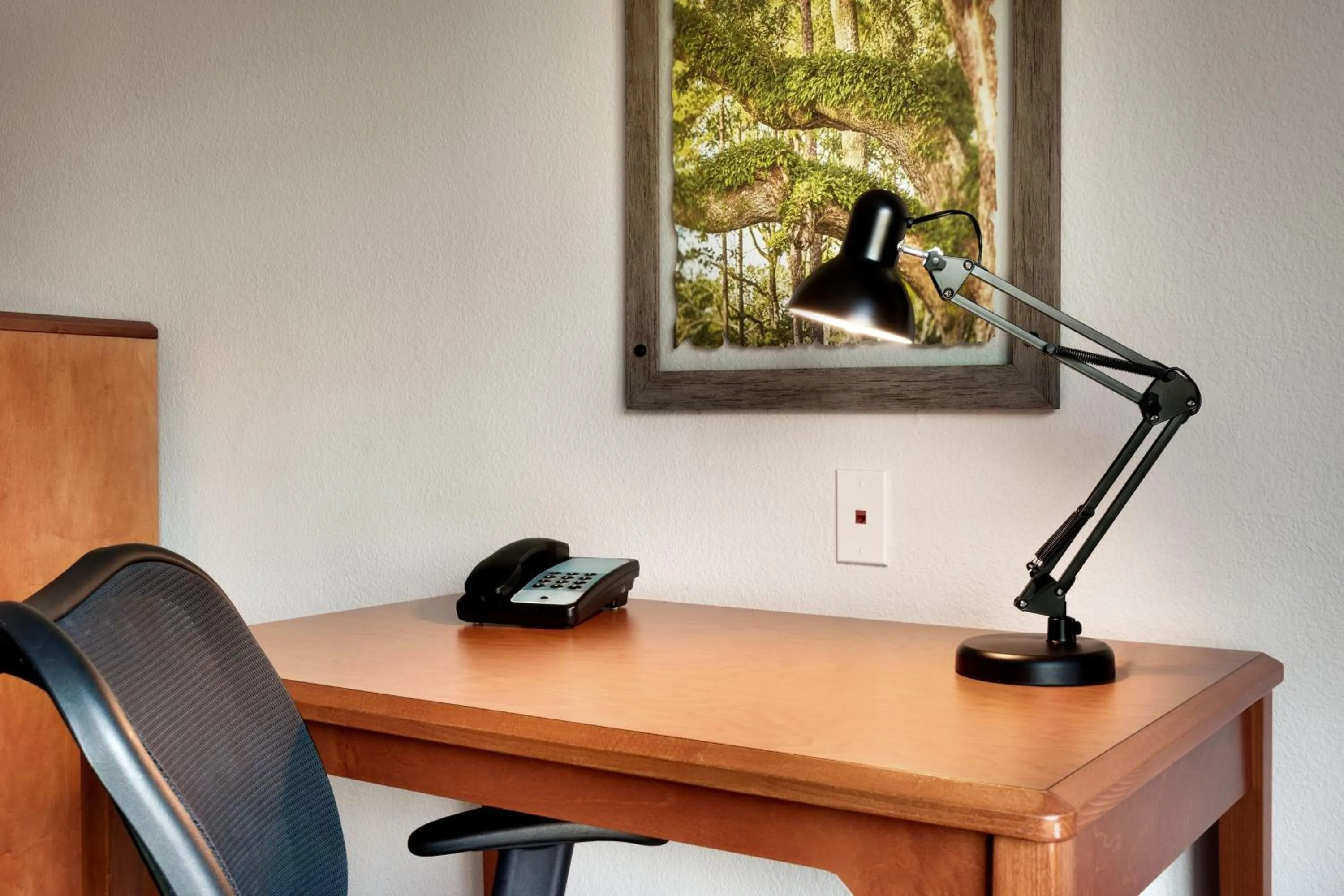 Bathroom in Fairfield Inn & Suites by Marriott Tallahassee Central