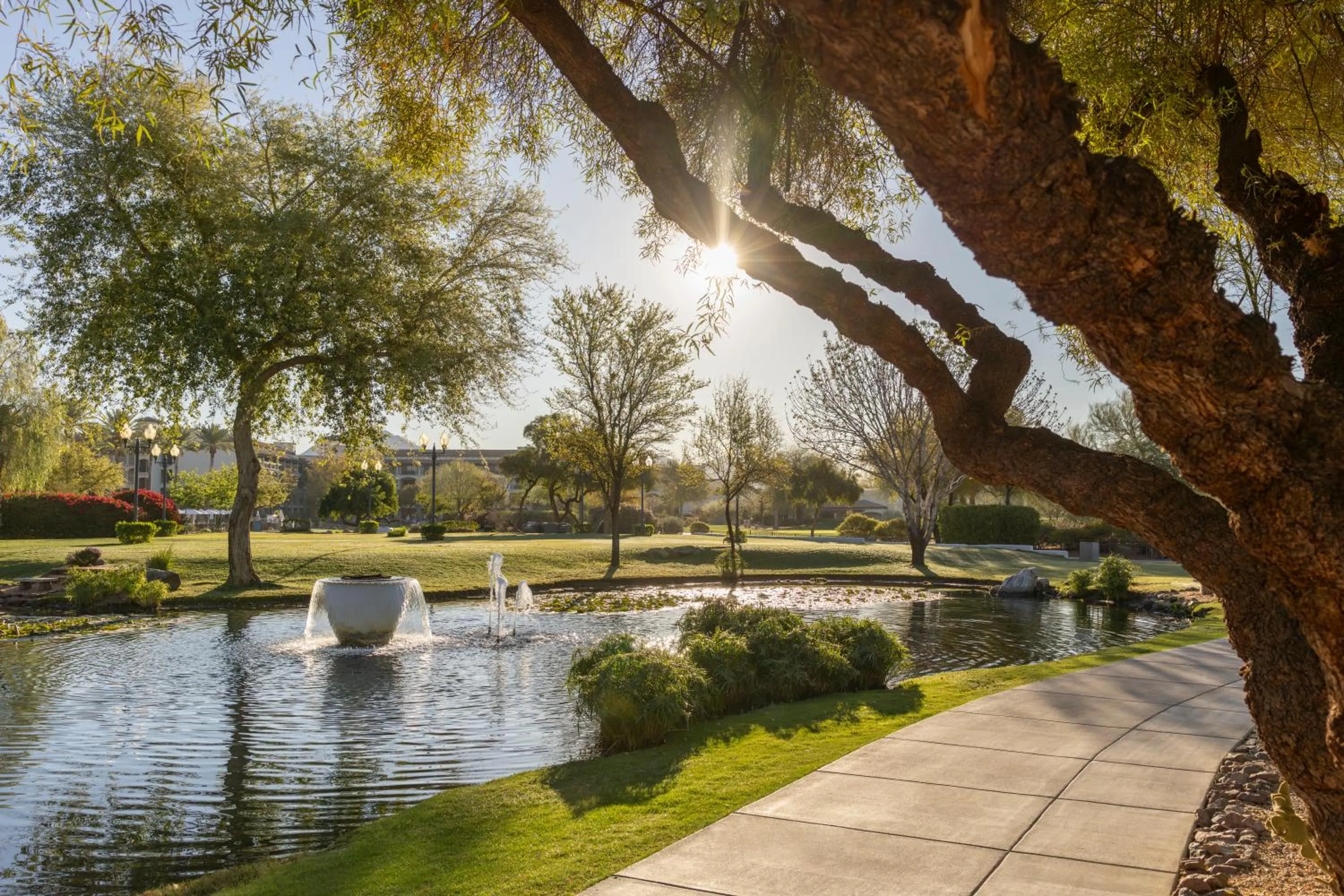Natural landscape in Fairmont Scottsdale Princess