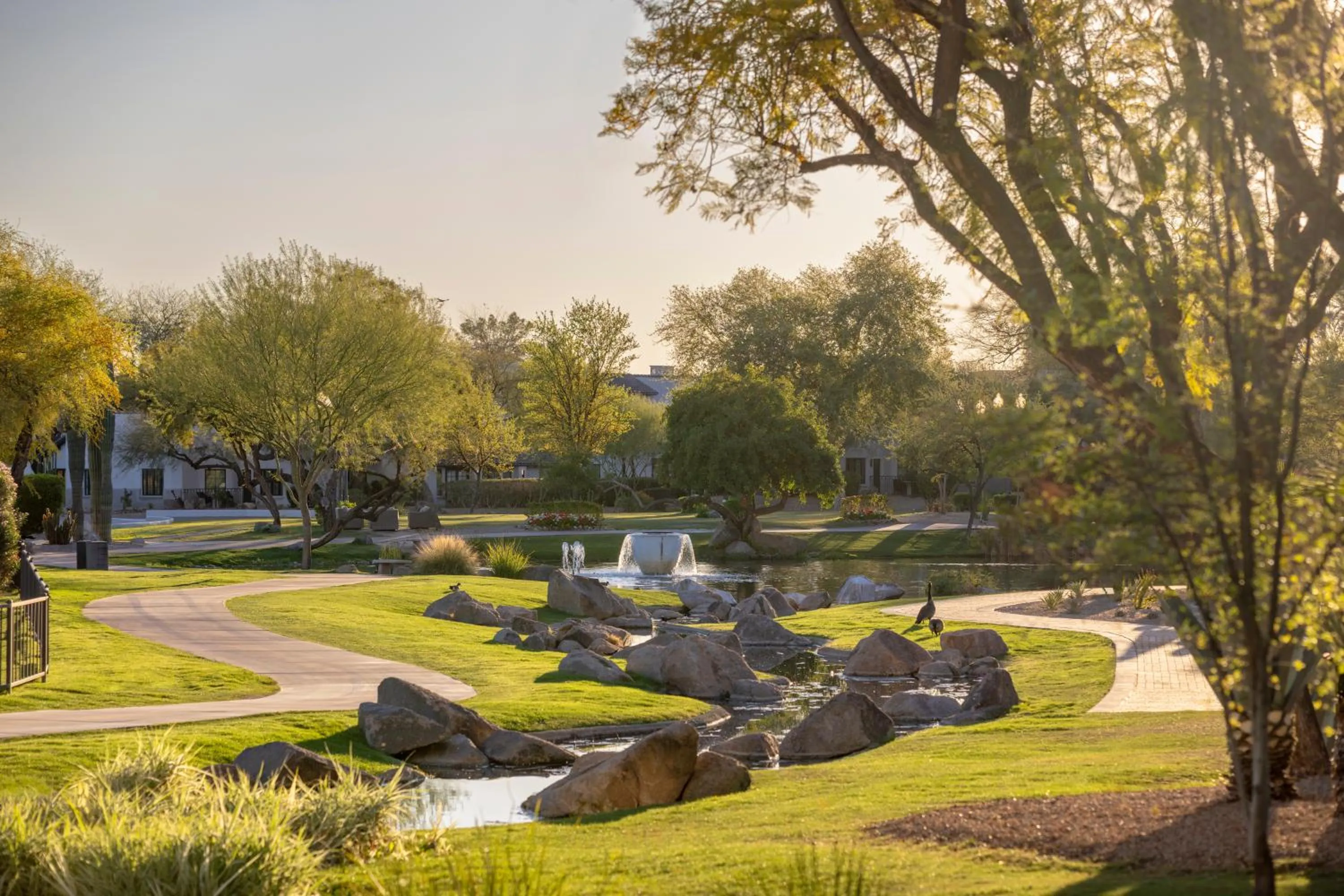 Day in Fairmont Scottsdale Princess