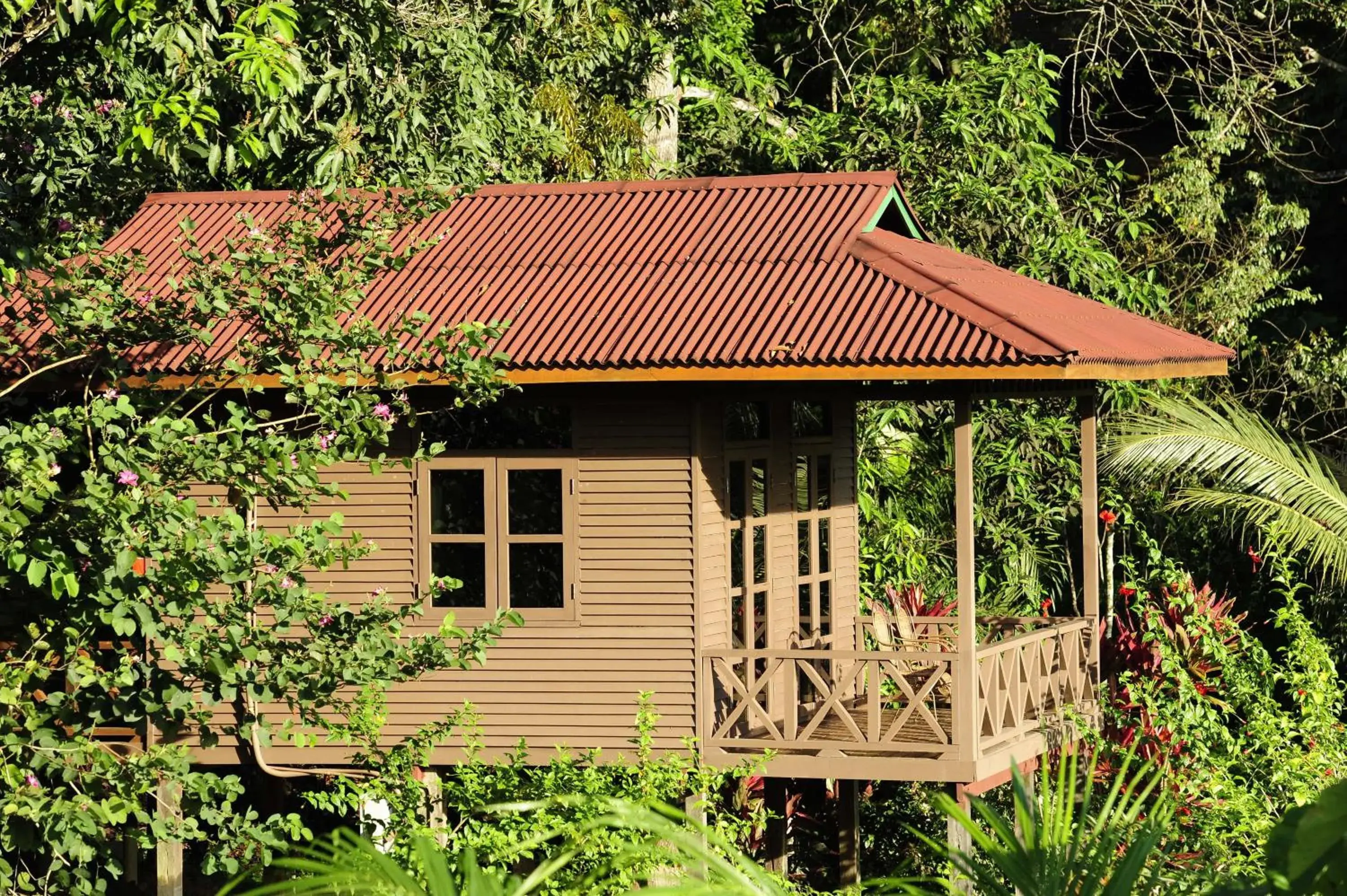 Property building in Sepilok Forest Edge Resort Property building in Sepilok Forest Edge Resort