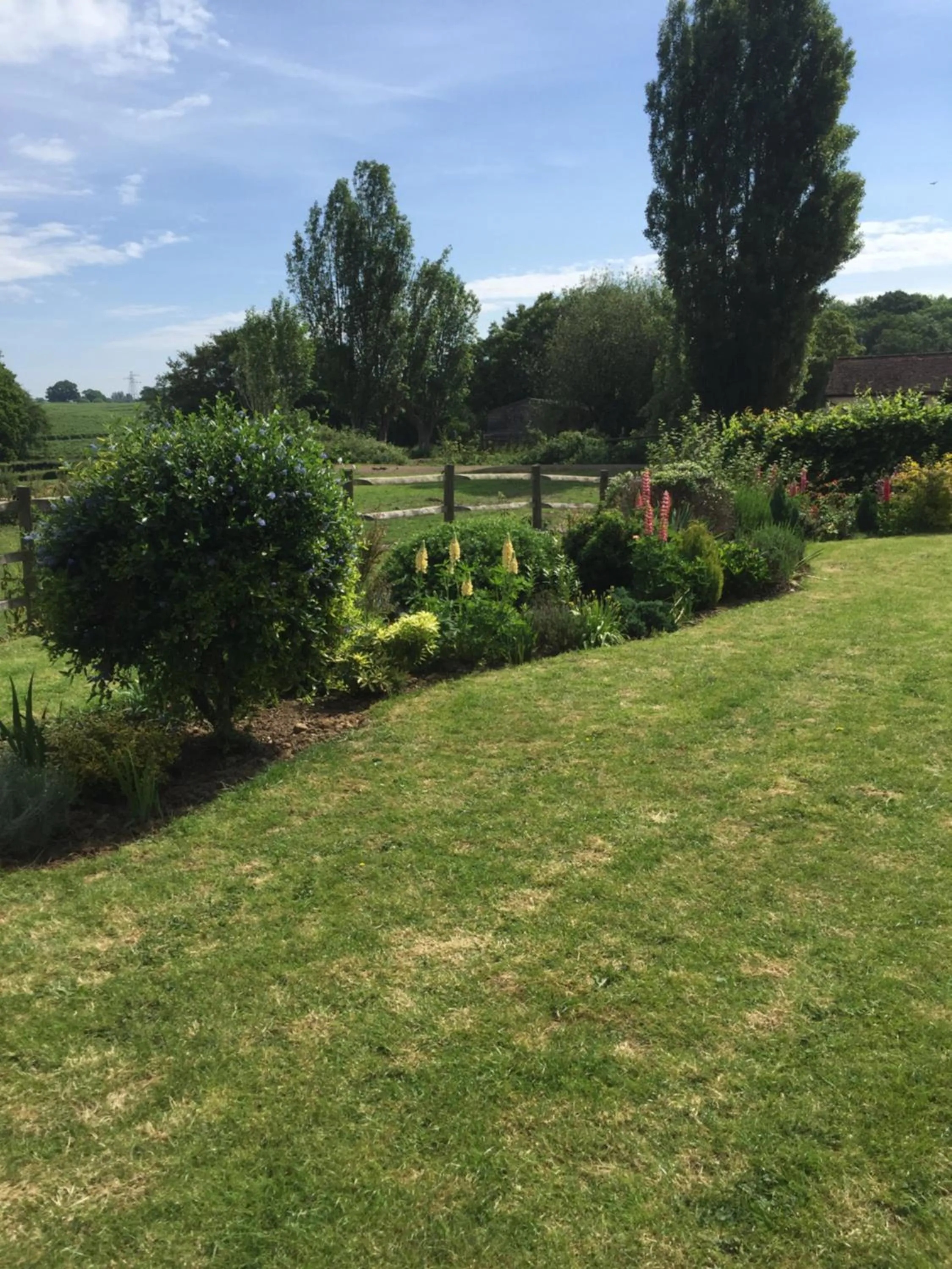 Garden in Barons Granary