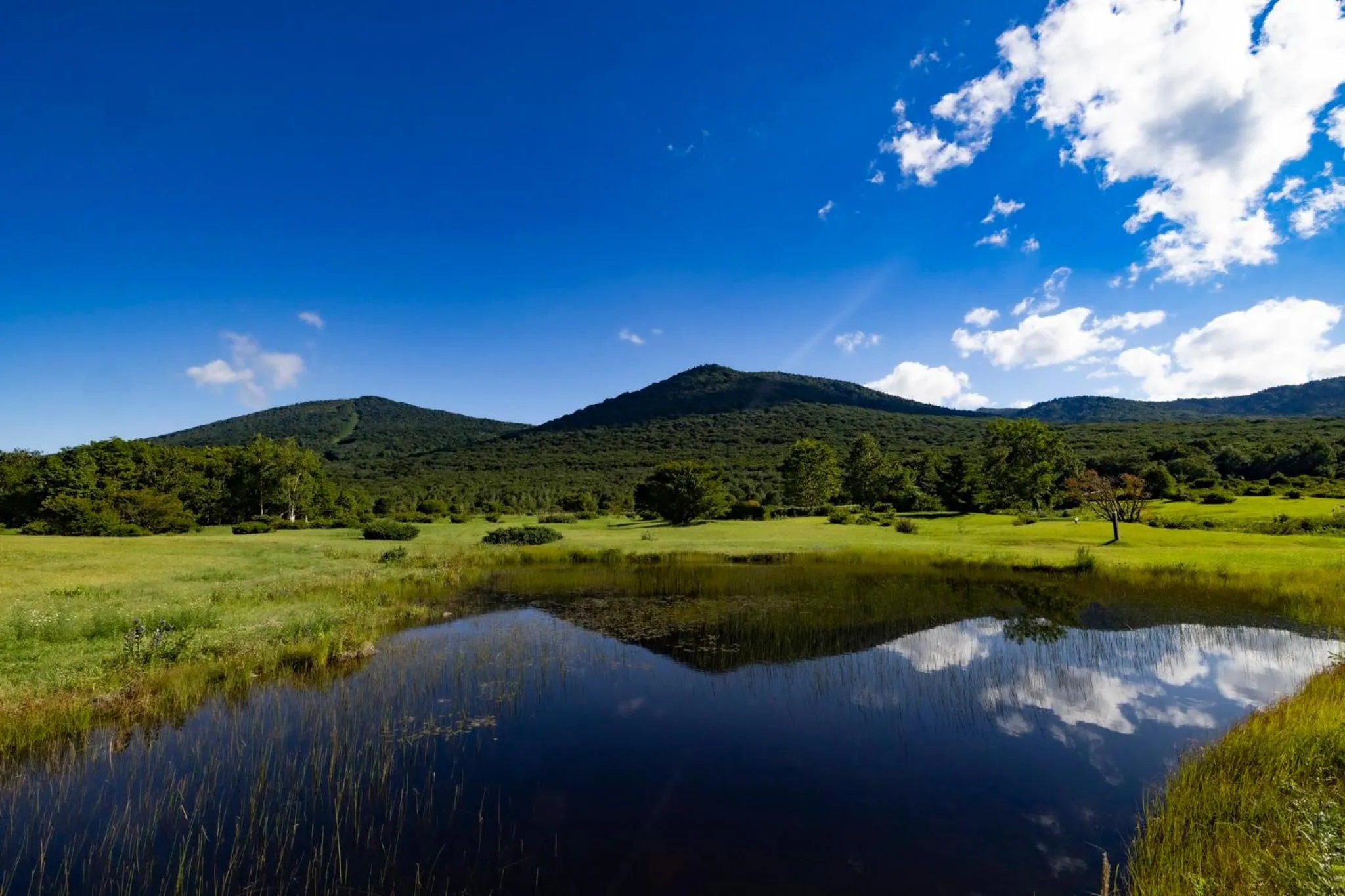 Area and facilities in ANA Crowne Plaza Resort Appi Kogen by IHG