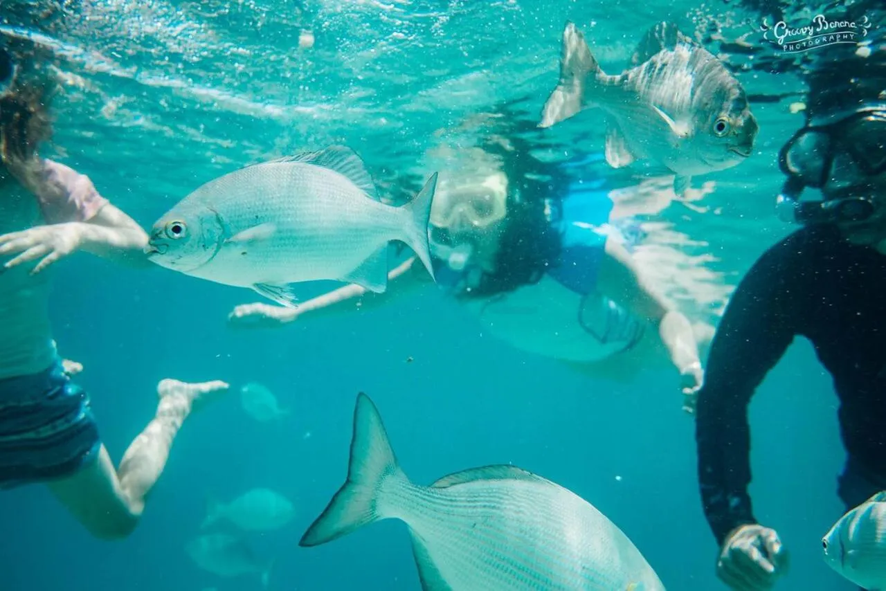 Snorkeling in Aore Island Resort