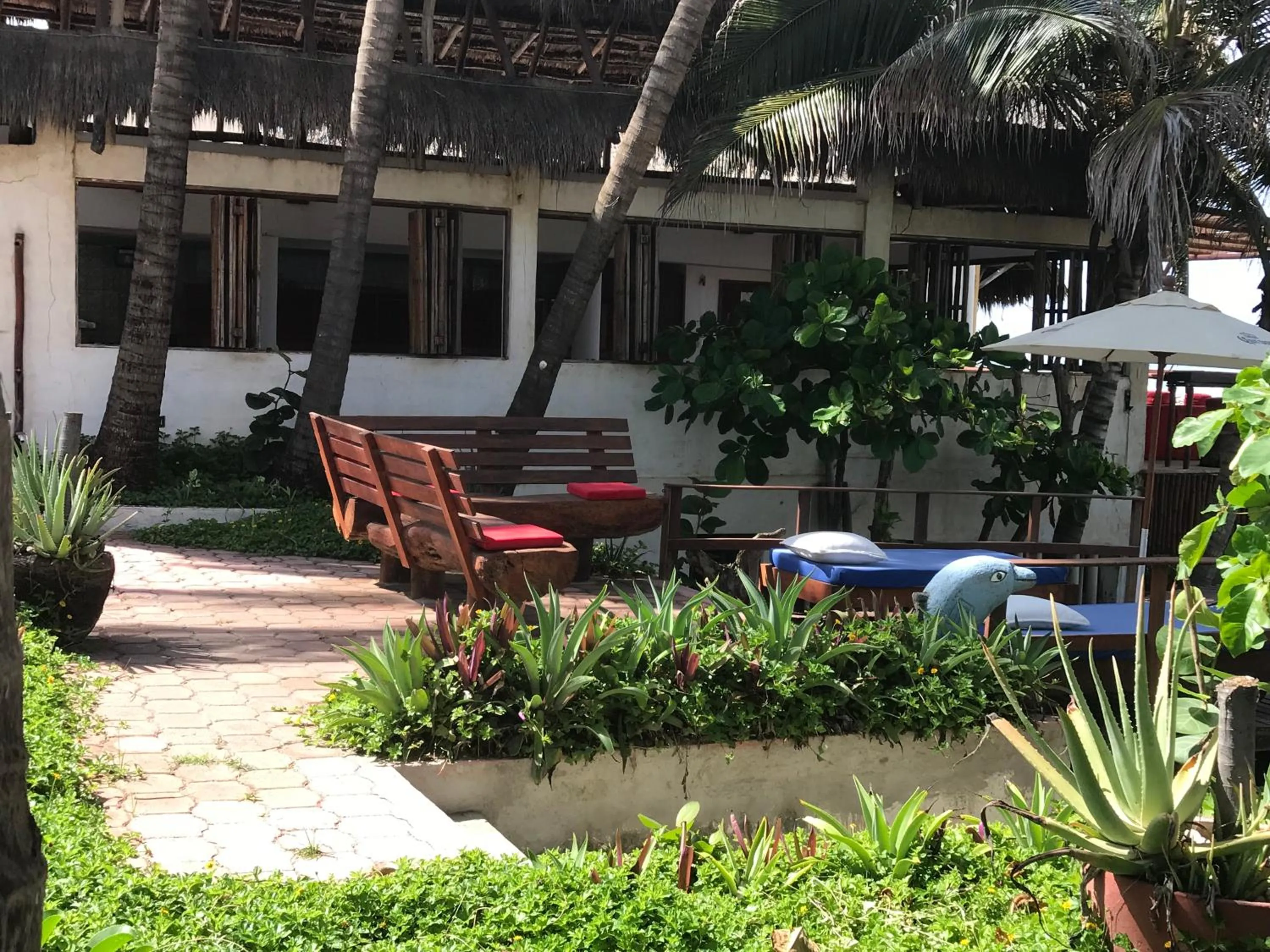 Beach in Casa de las Olas Surf & Beach Club