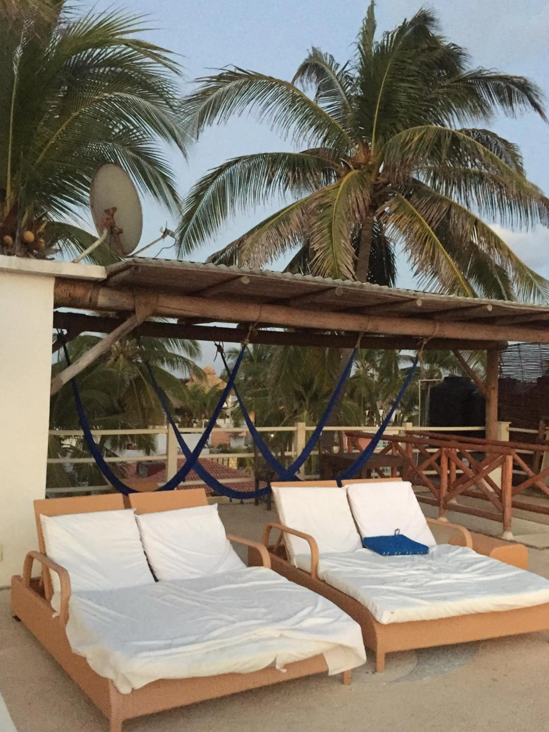 Garden view in Casa de las Olas Surf & Beach Club