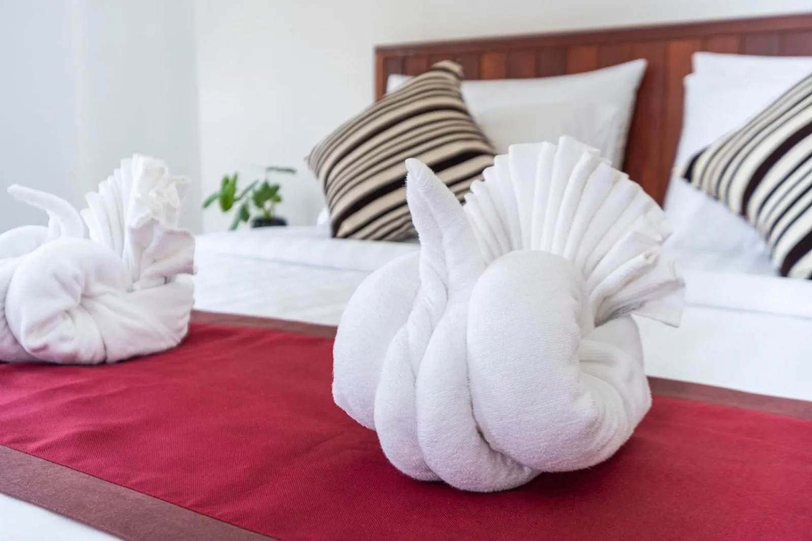 Bed in Angkor City View Hotel