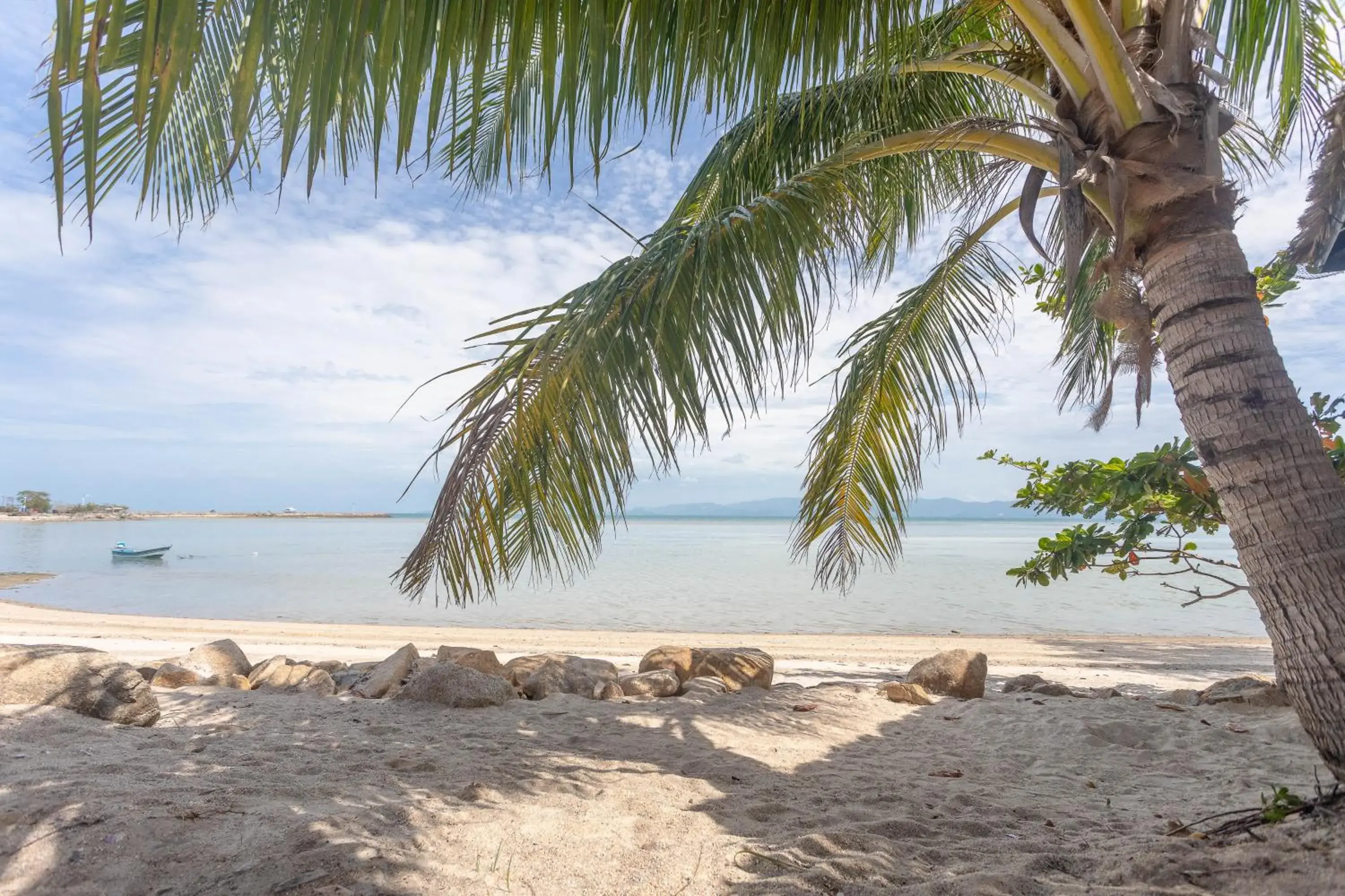 View (from property/room) in Absolute Beachfront Resort View (from property/room) in Absolute Beachfront Resort