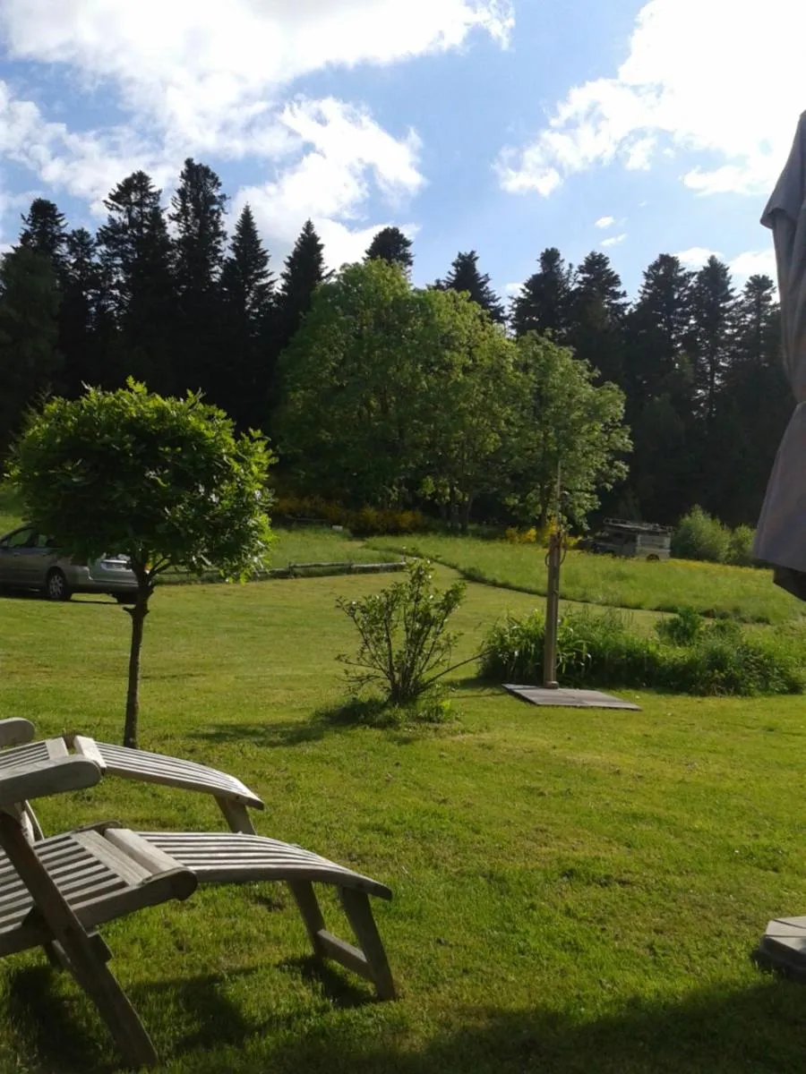 View (from property/room) in Chambres d'Hôtes La Fougeraie