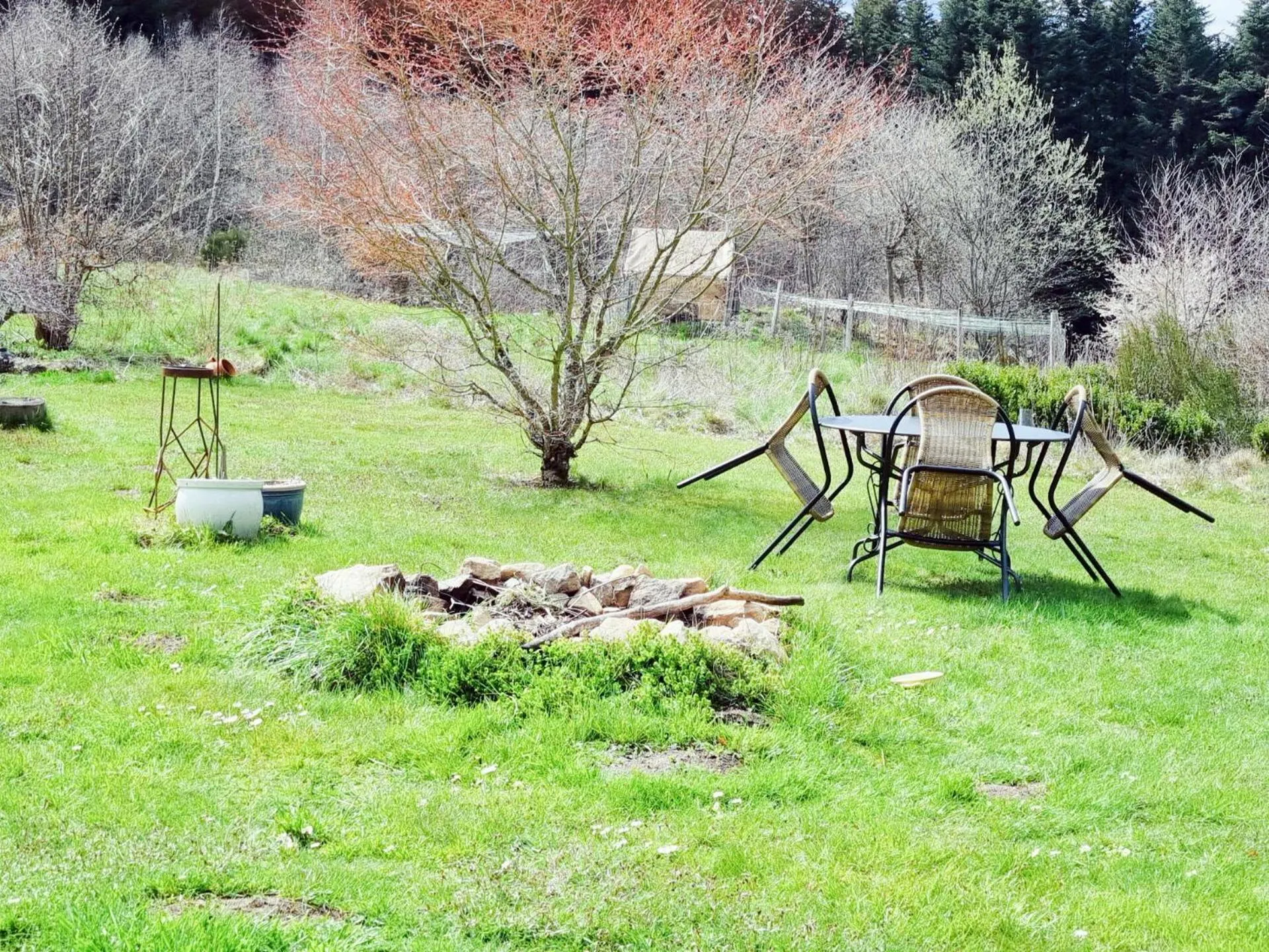 Garden in Chambres d'Hôtes La Fougeraie