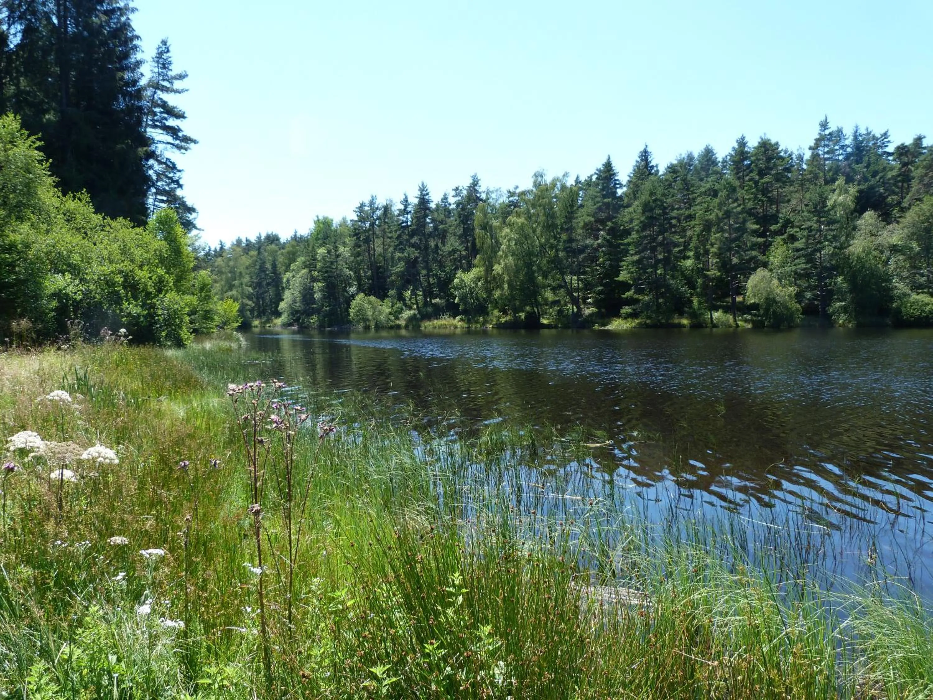 Swimming pool in Chambres d'Hôtes La Fougeraie
