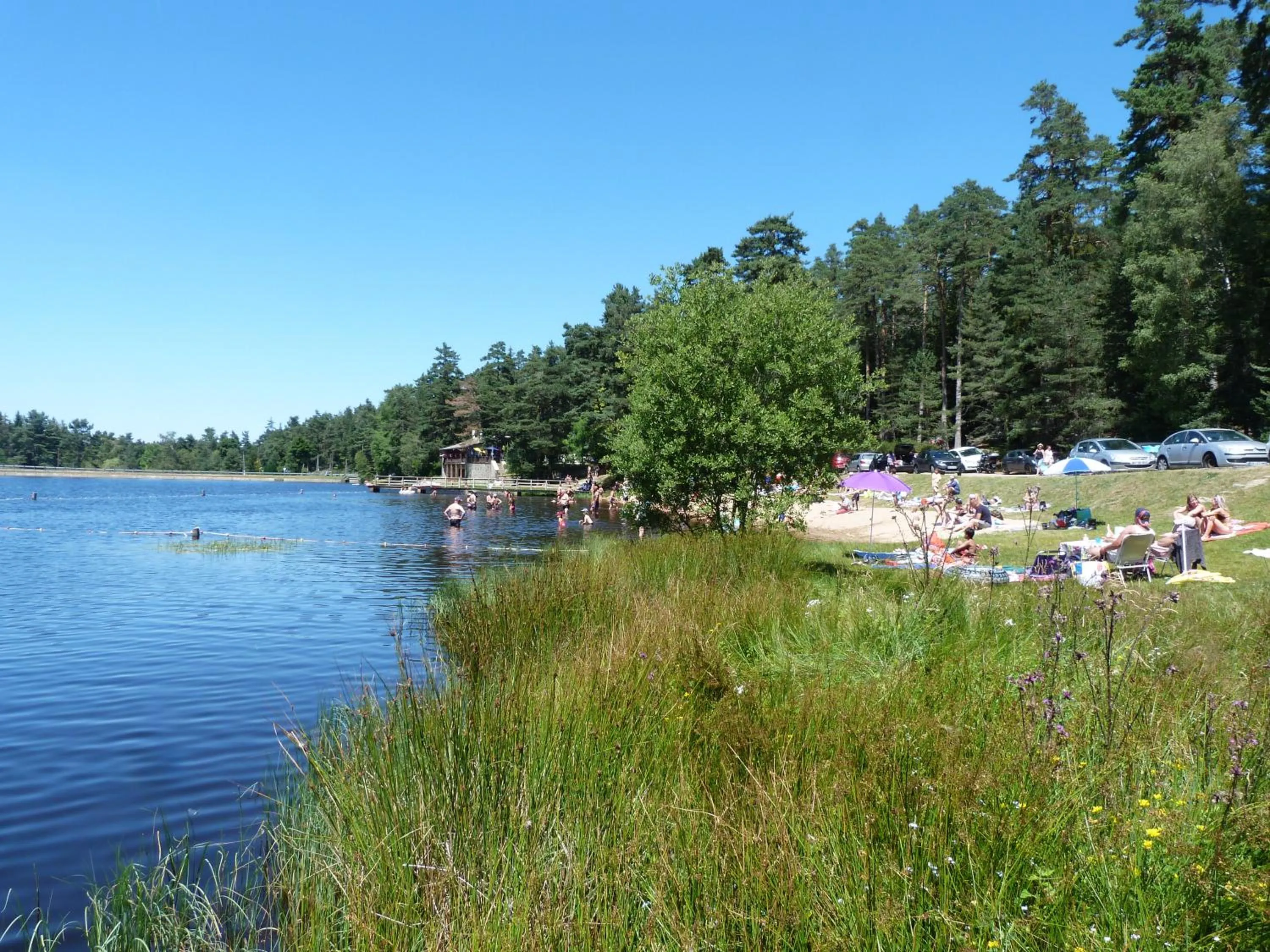 Swimming pool in Chambres d'Hôtes La Fougeraie