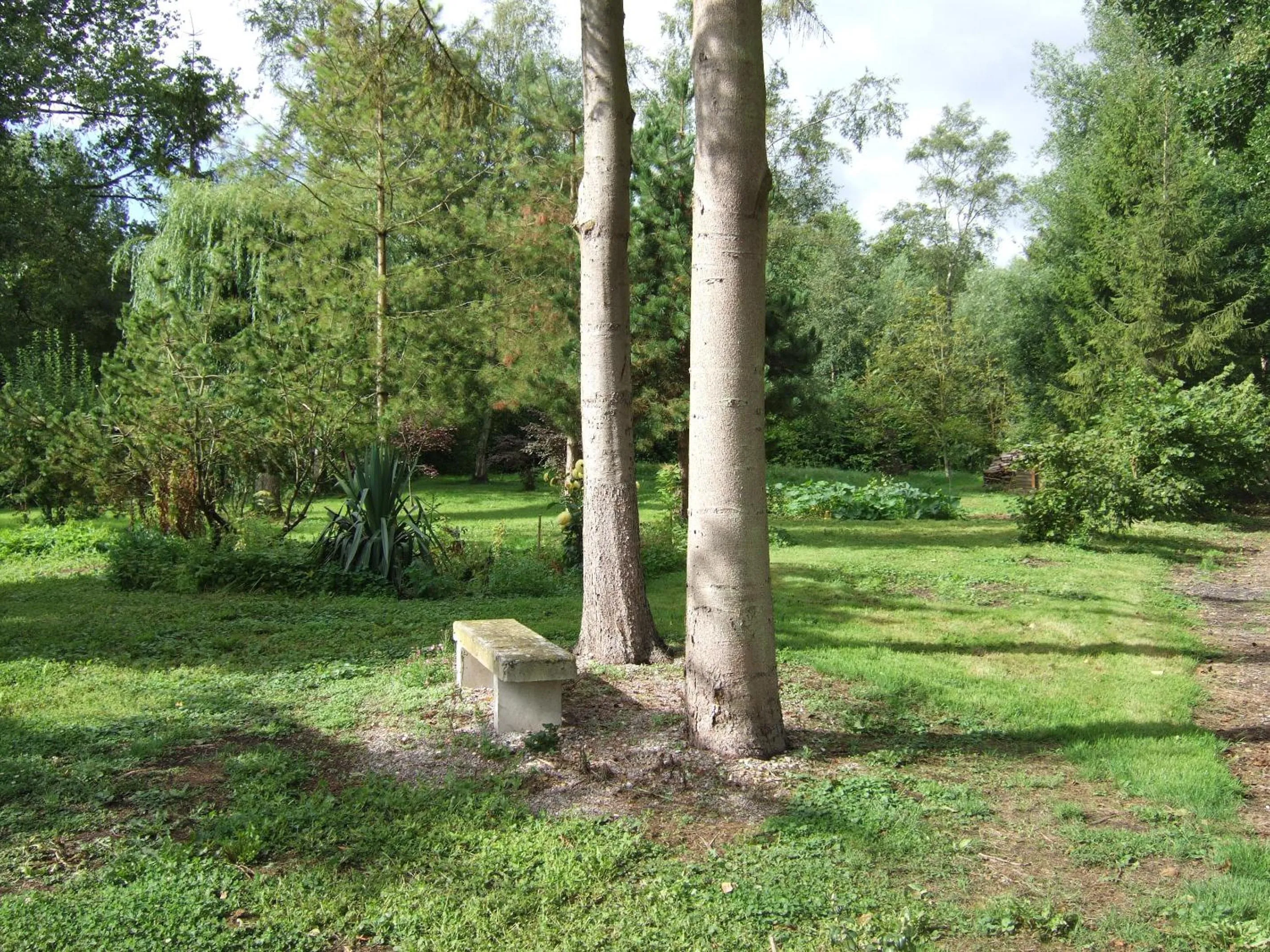 Area and facilities in La Maison de l'Epousée B&B