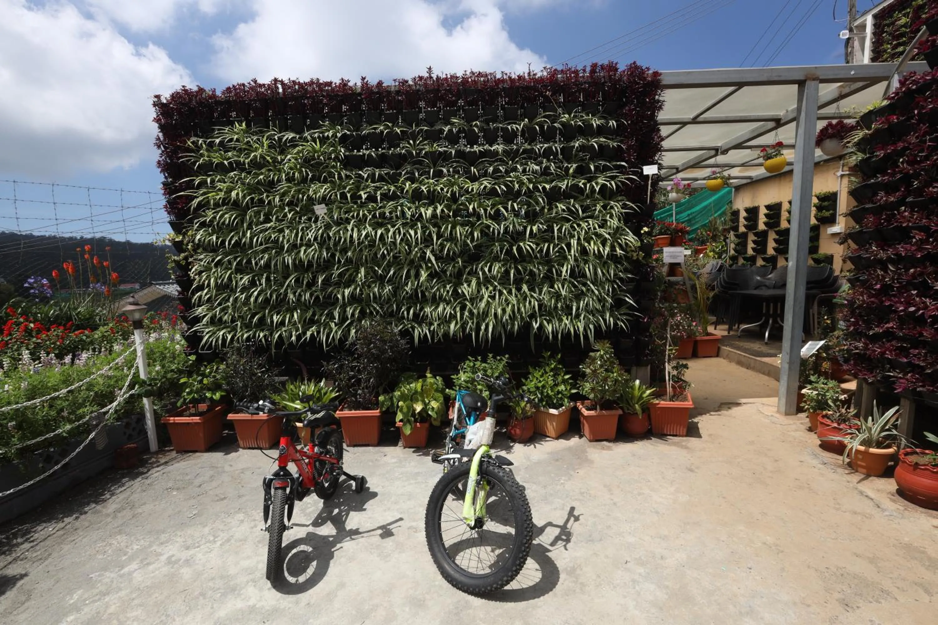 Garden in Delightz Inn