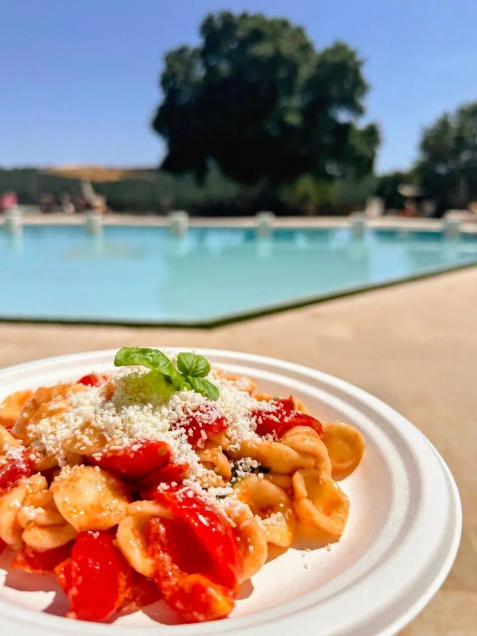Food and drinks in Trulli Panoramici