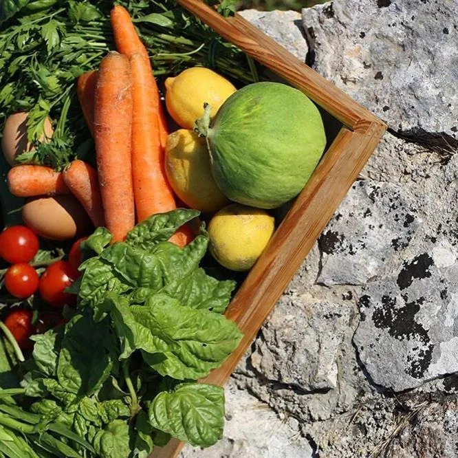 Food in Trulli Panoramici