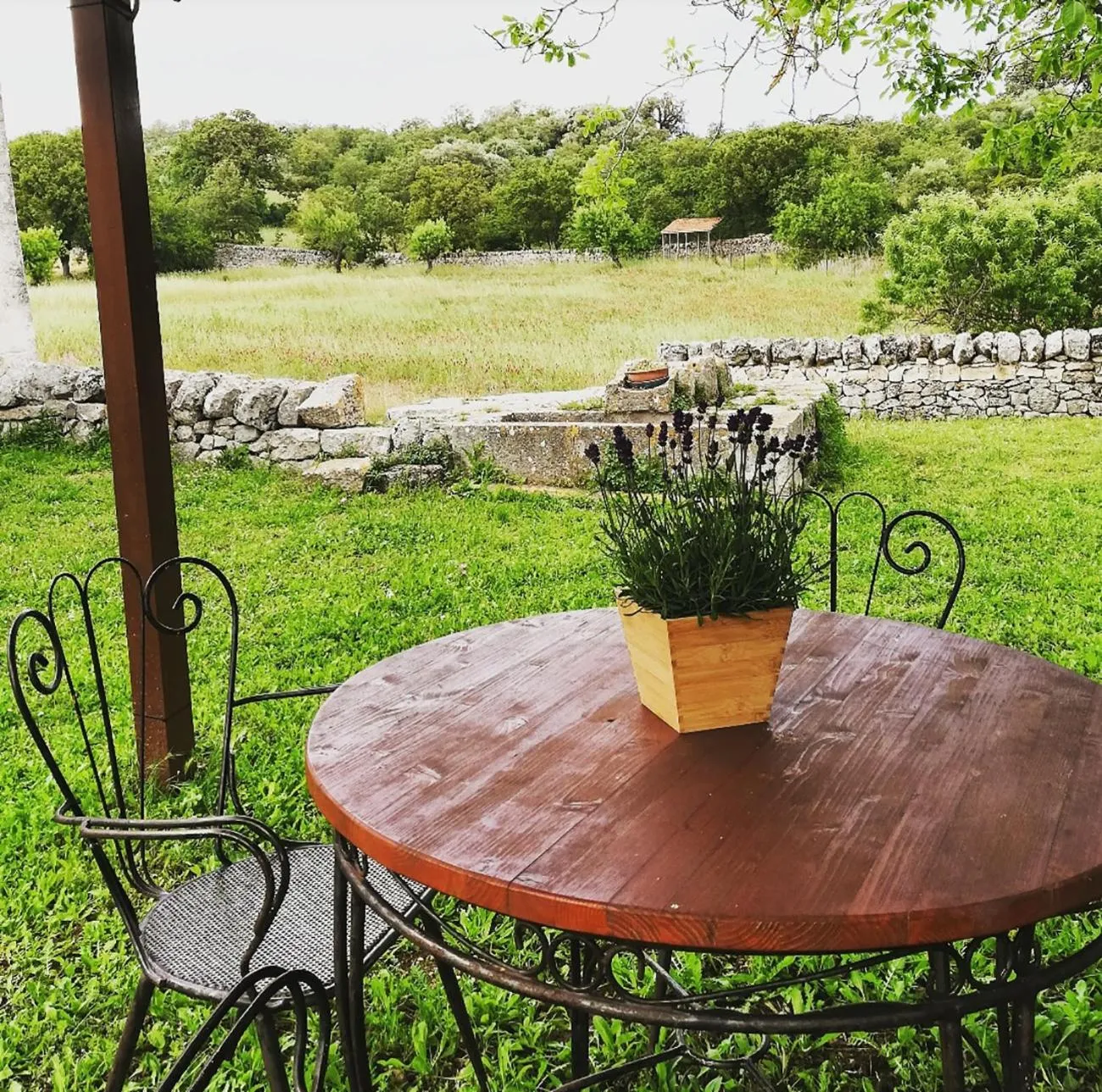 Garden in Trulli Panoramici