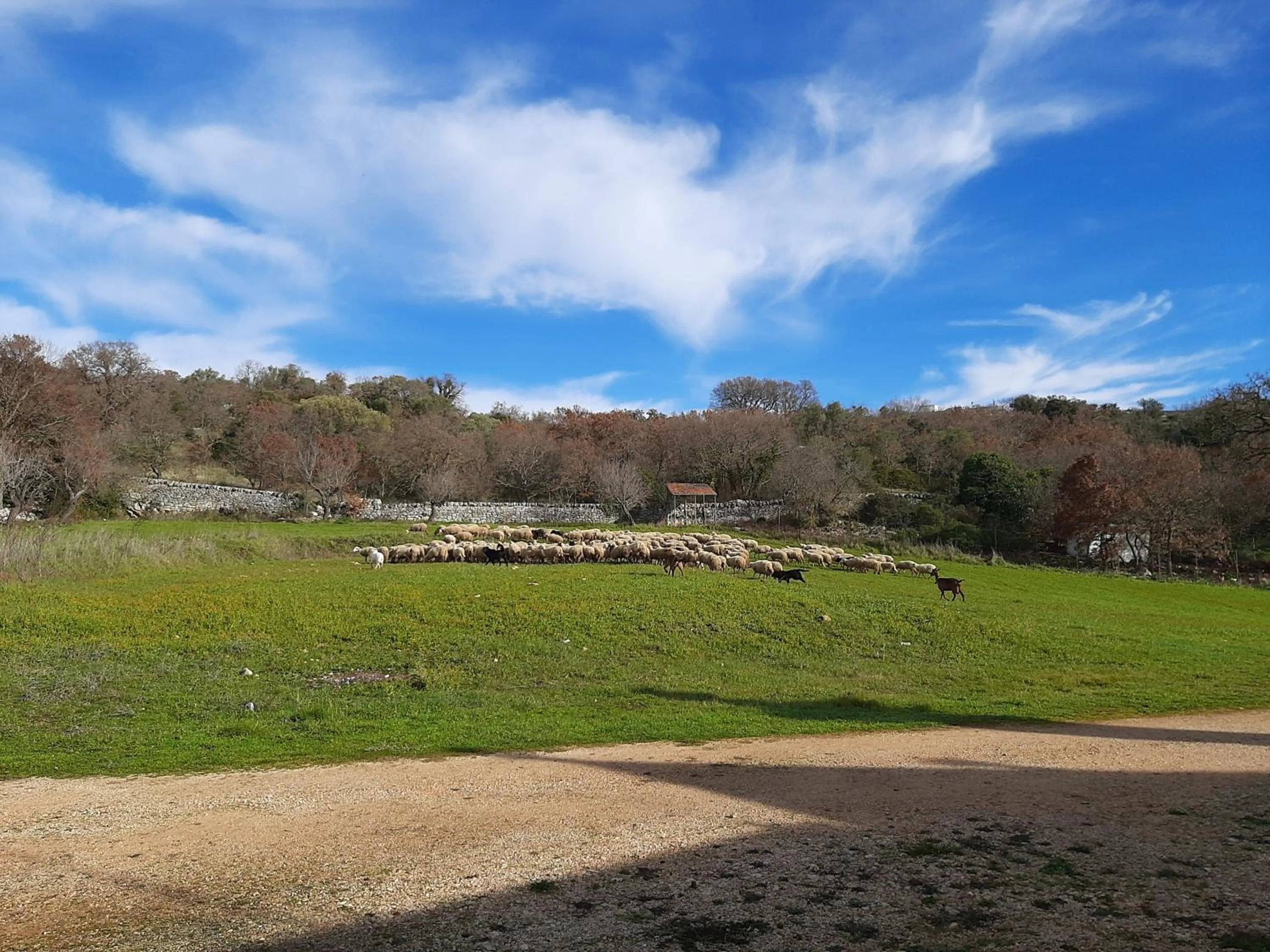 Property building in Trulli Panoramici
