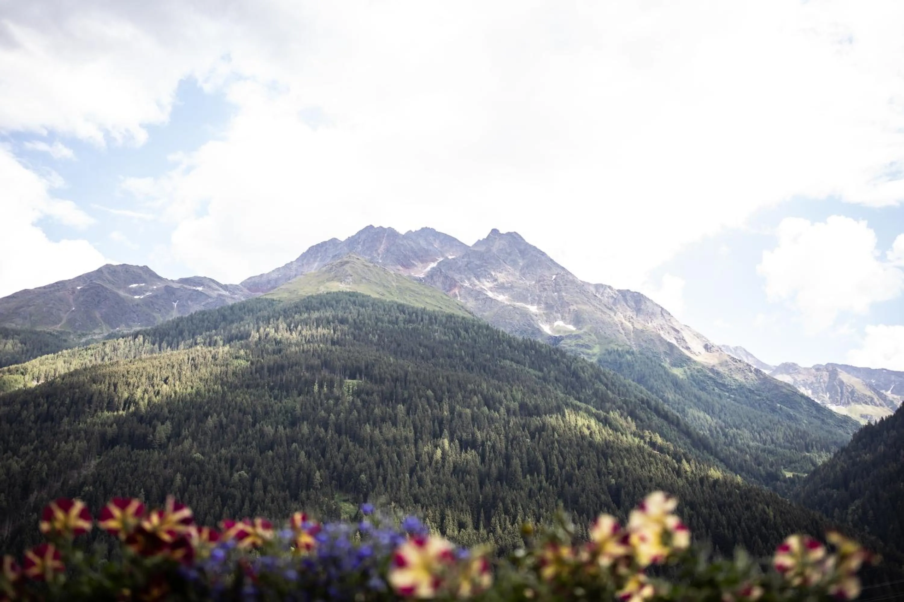Natural landscape in Hotel Alpina Superior