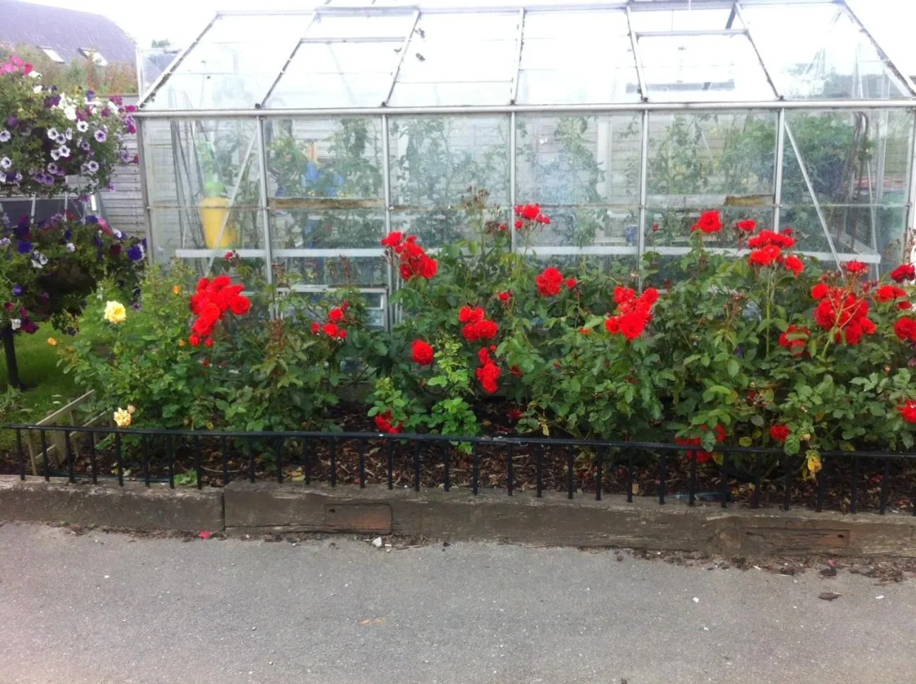 Garden in Hillview House