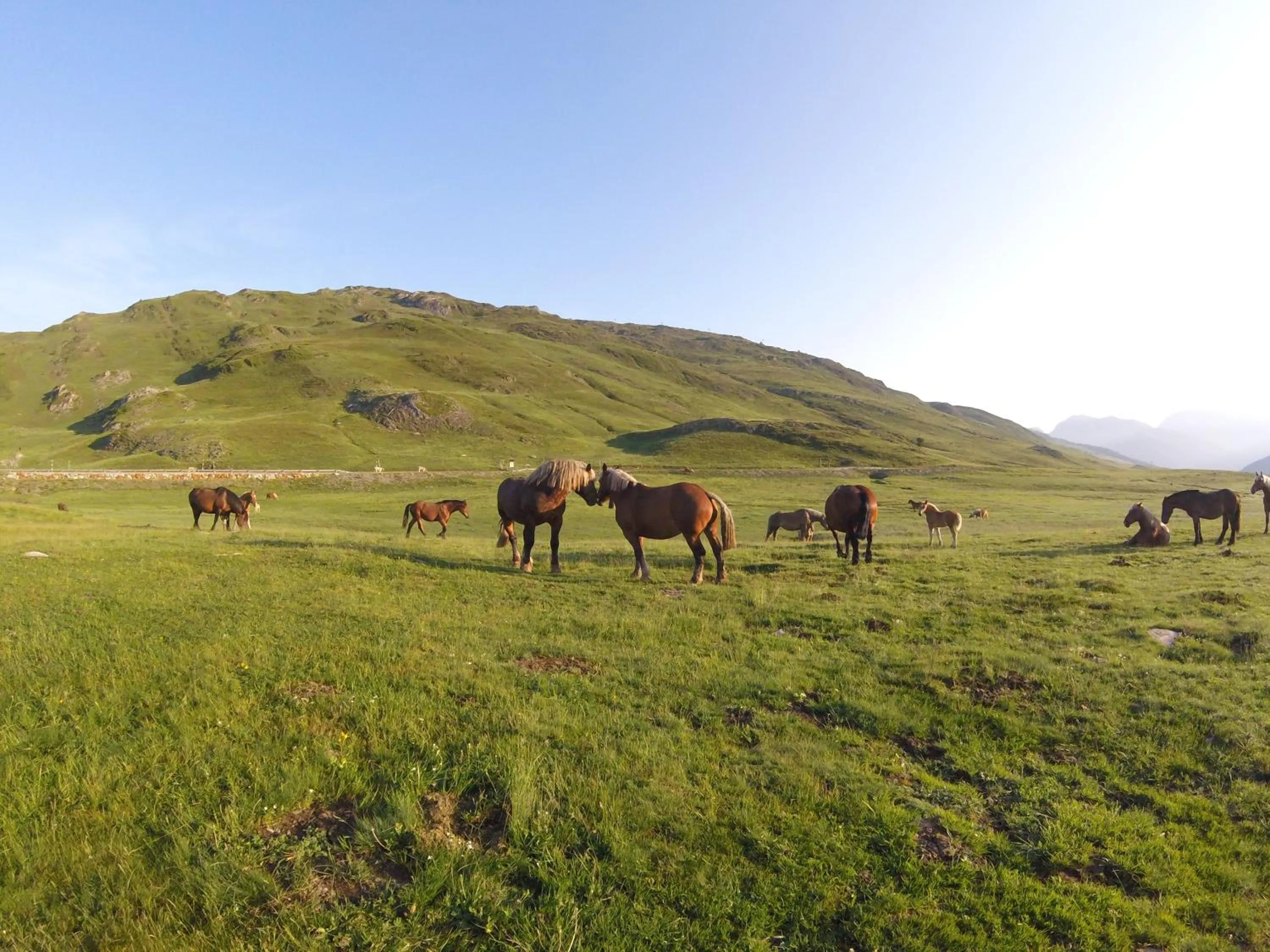 Hiking in Apartamentos SNÖ Mont Romies Unhola