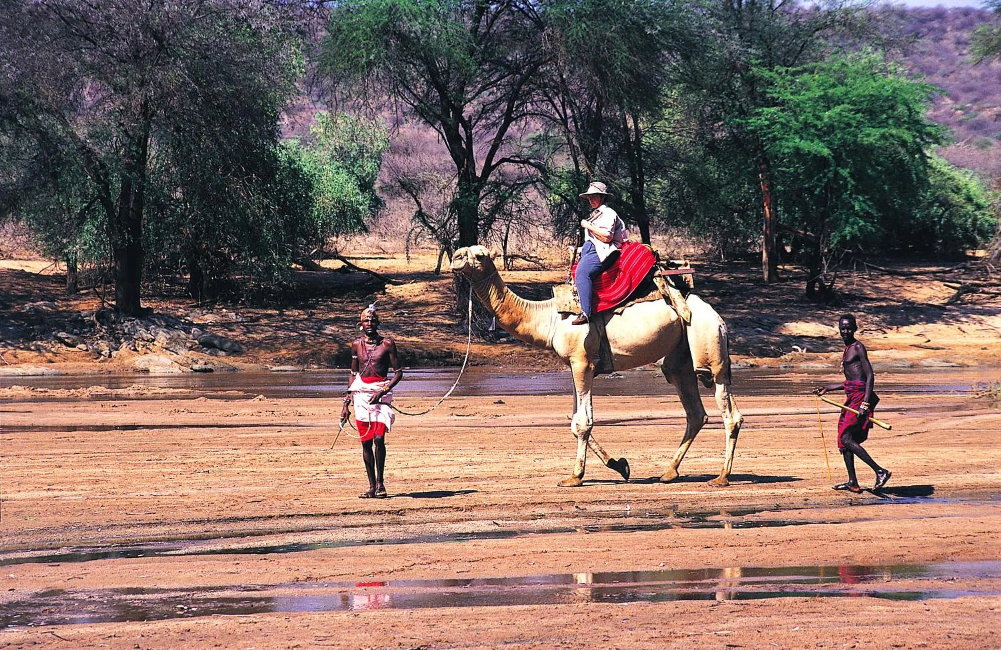 Animals in Samburu Intrepids Tented Camp