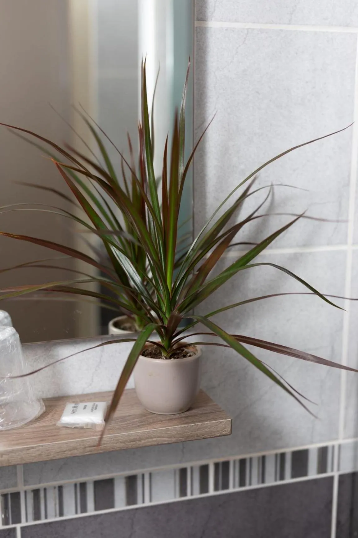 Logis-Hôtel & Restaurant LE CARNOT