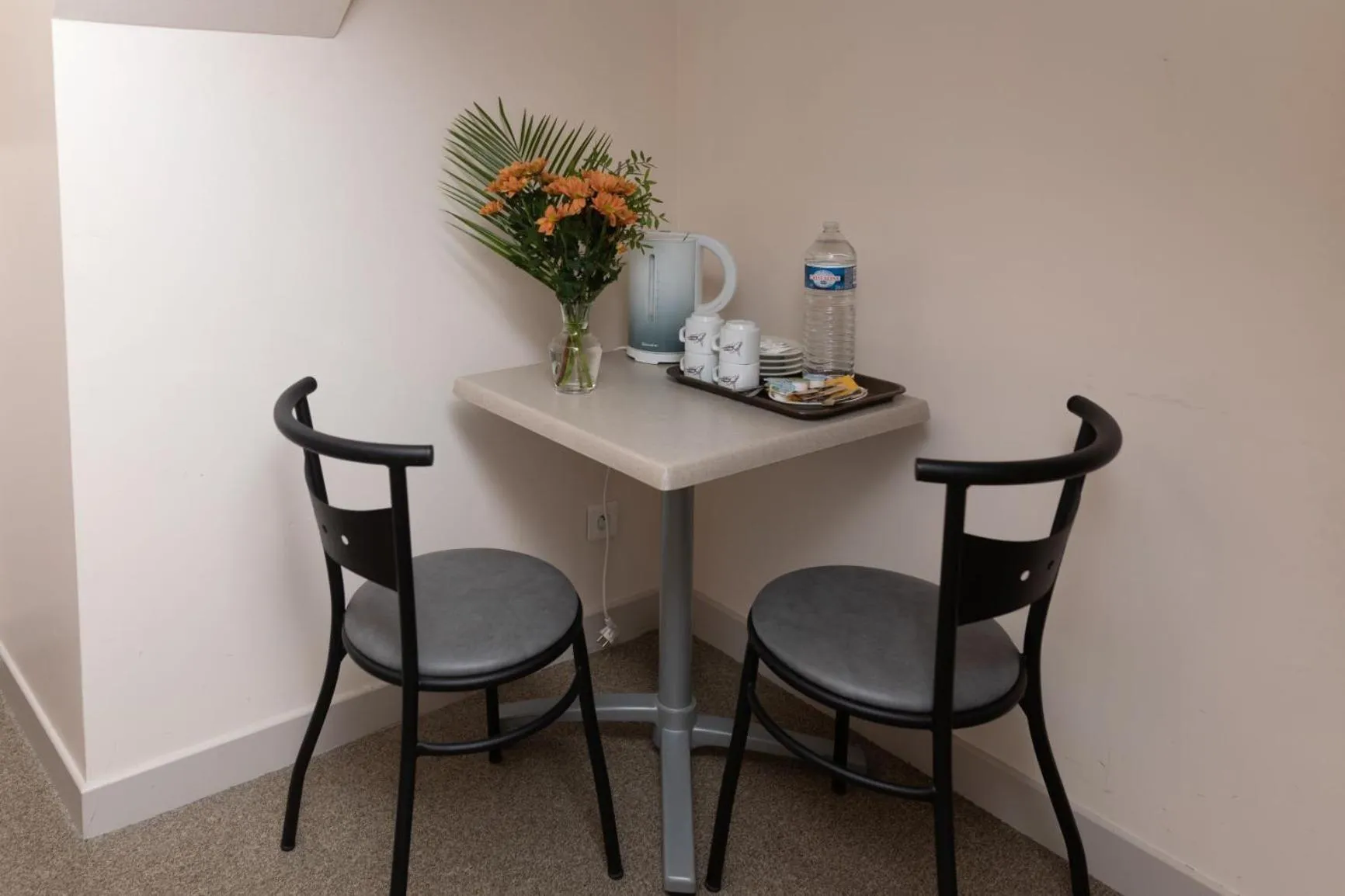 Logis-Hôtel & Restaurant LE CARNOT