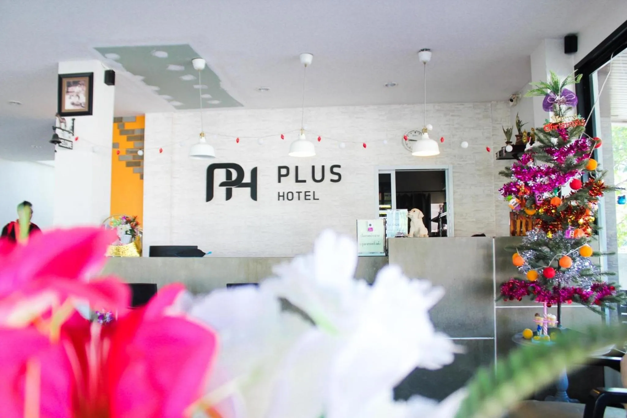 Plus Hotel