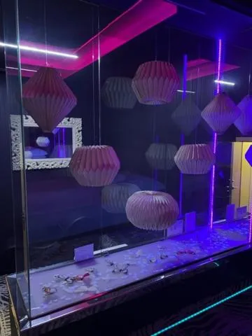 Photo of the whole room in V Hotel