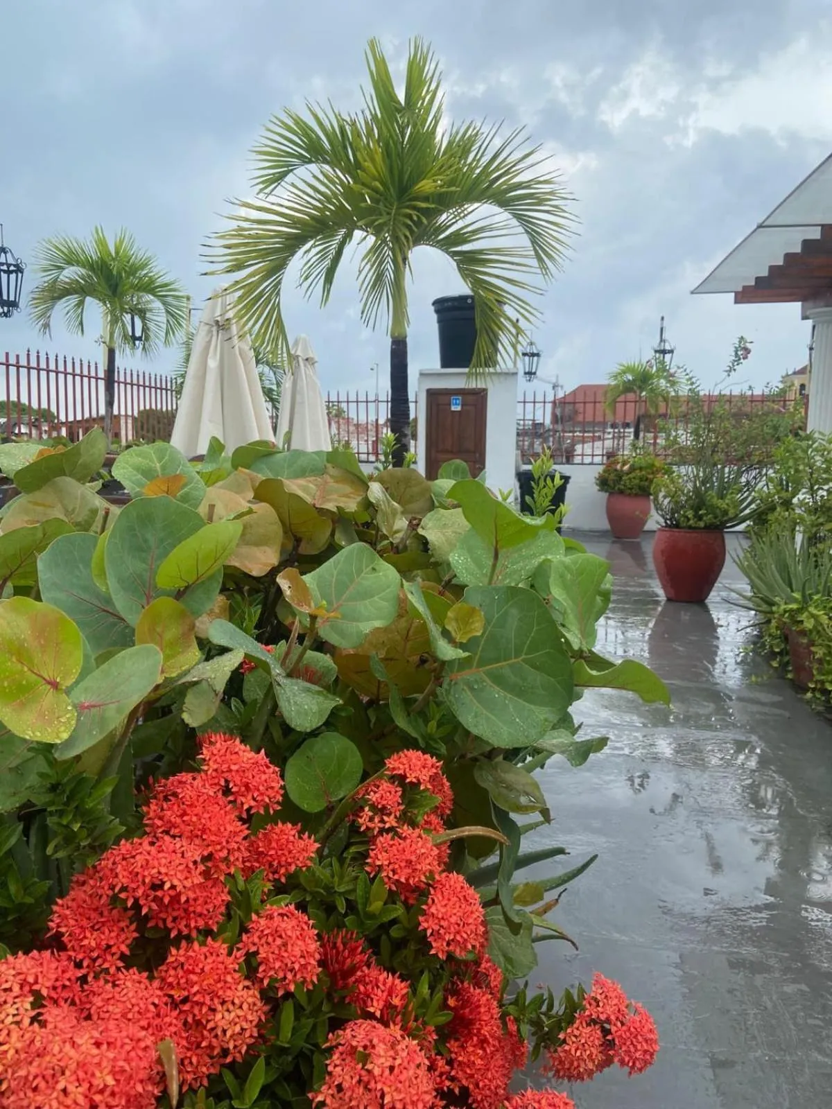 Garden view in Patio de Getsemani