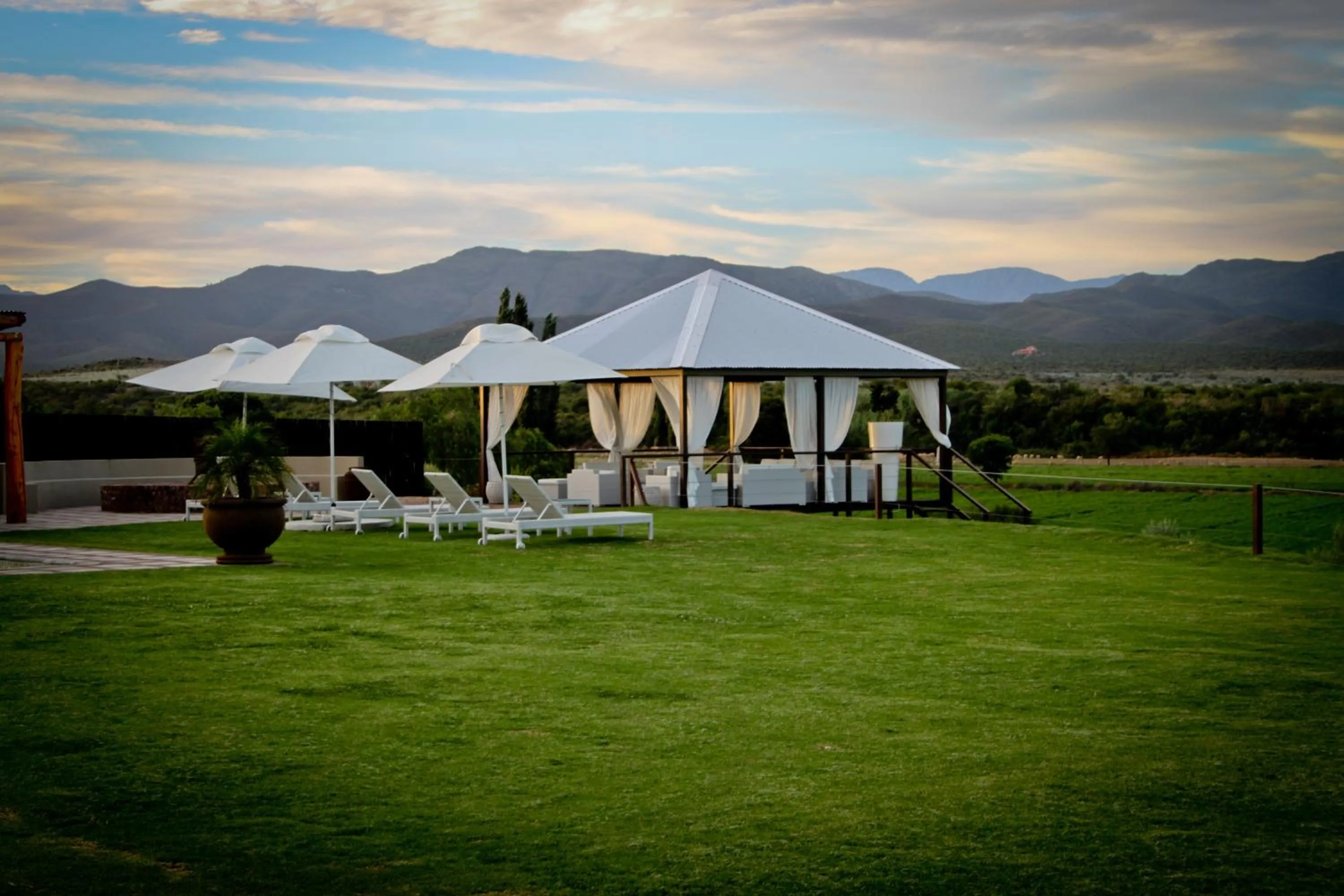 View (from property/room) in Surval Boutique Olive Estate