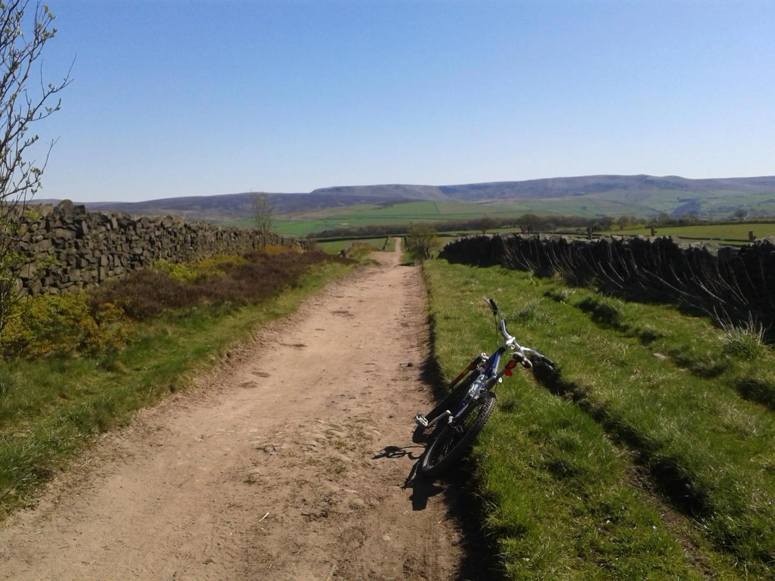 Natural landscape in Oakfield Lodge Guest House Stockport