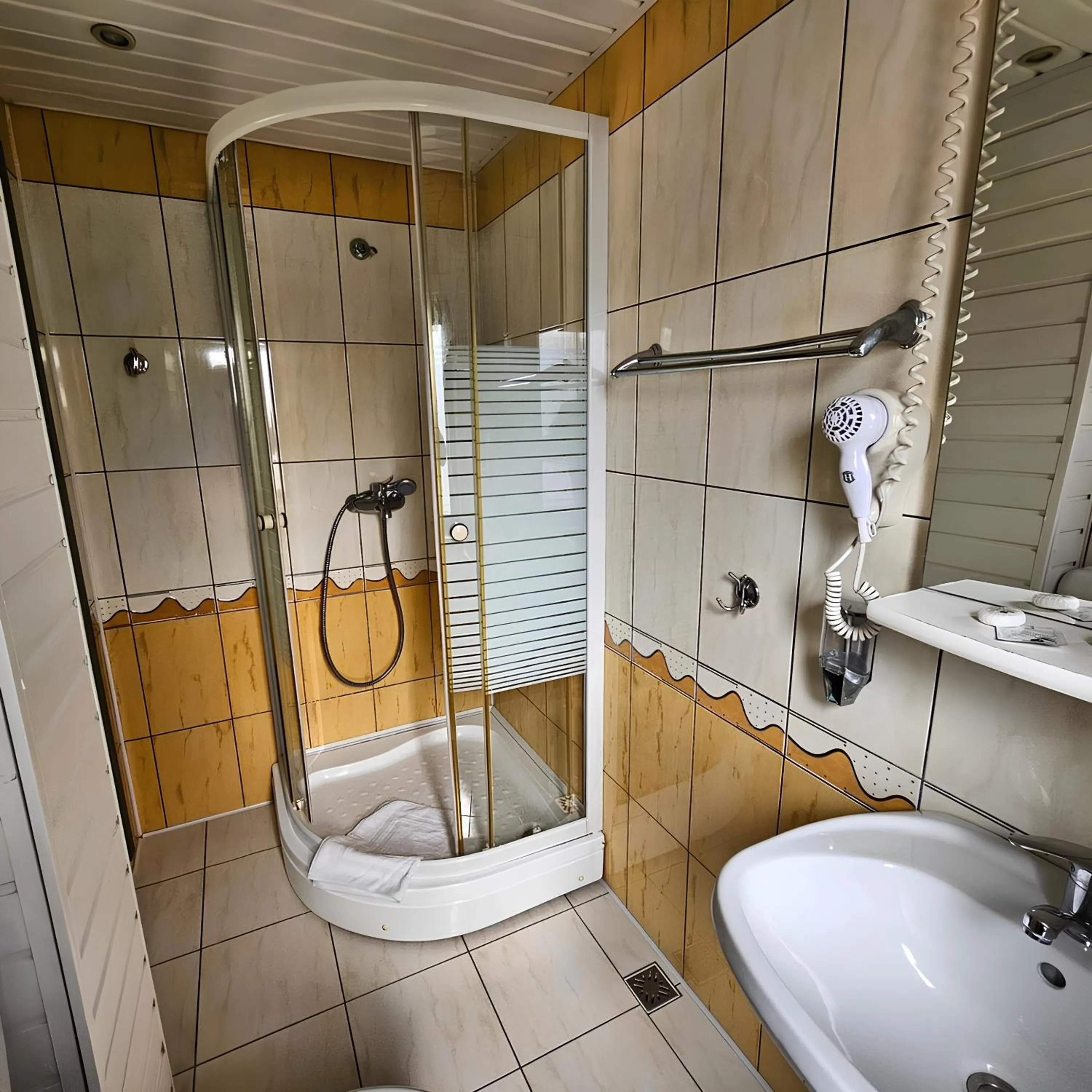 Shower in Pensiunea Andrei Moieciu