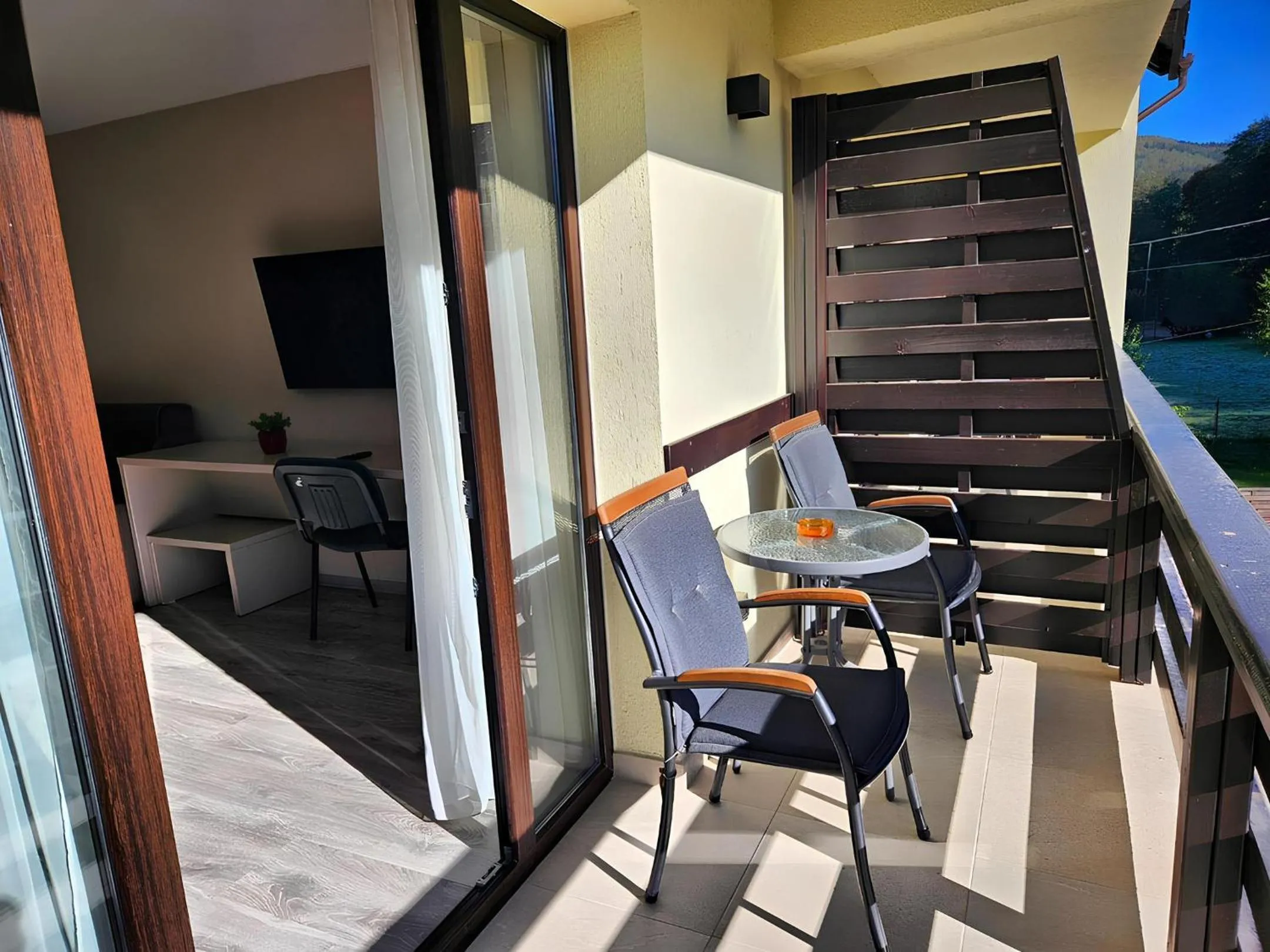 Communal lounge/ TV room in Pensiunea Andrei Moieciu