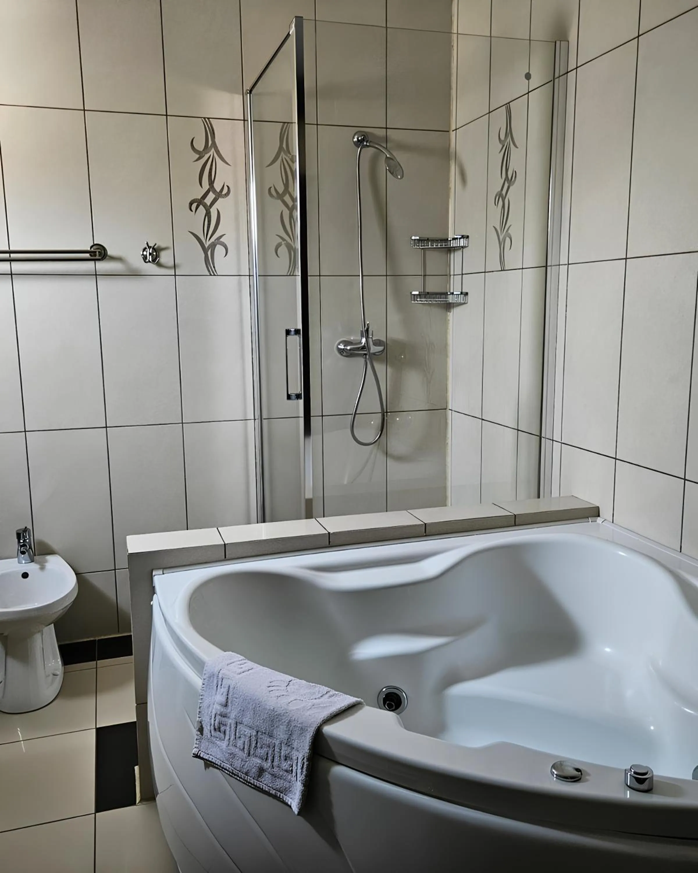 Shower in Pensiunea Andrei Moieciu