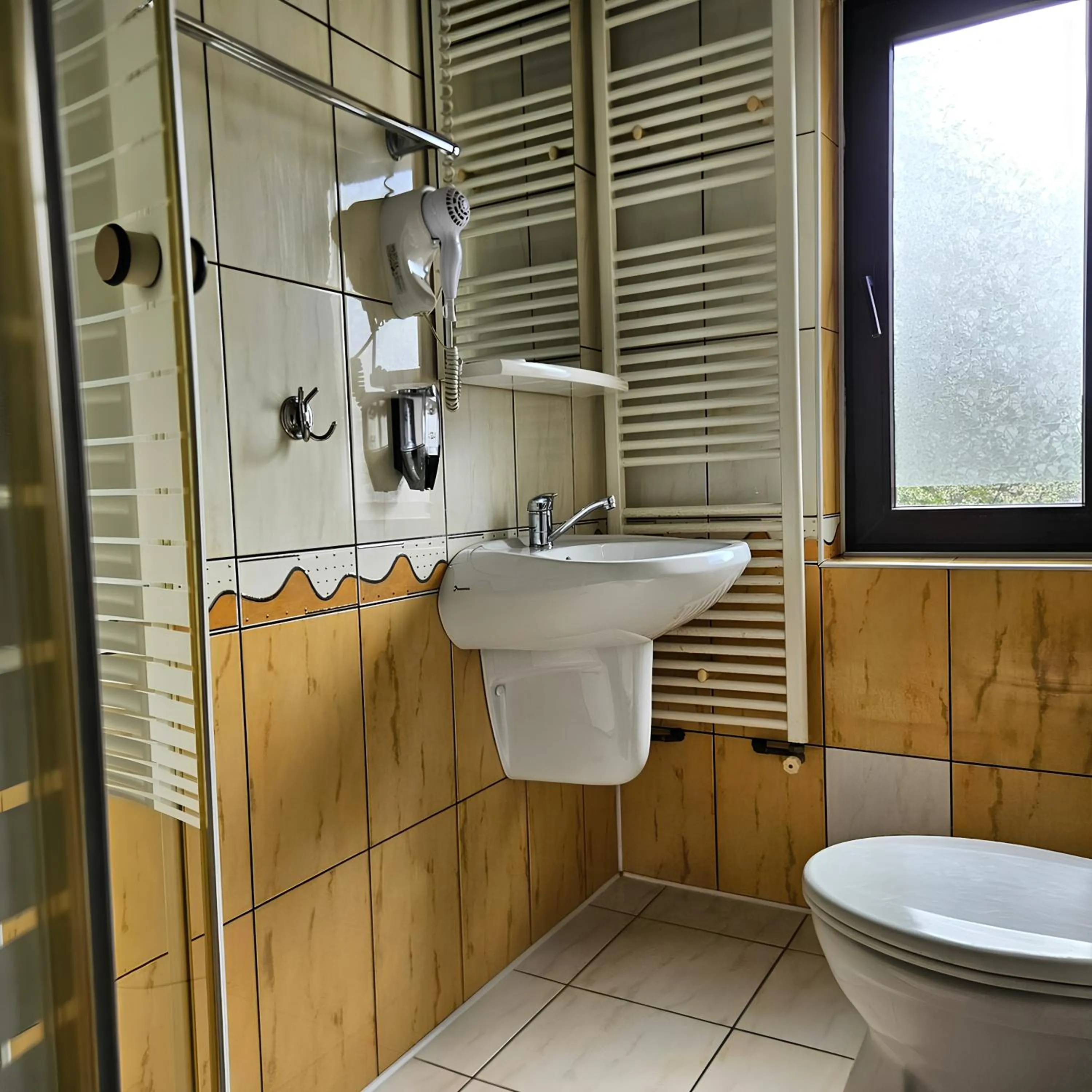 Shower in Pensiunea Andrei Moieciu