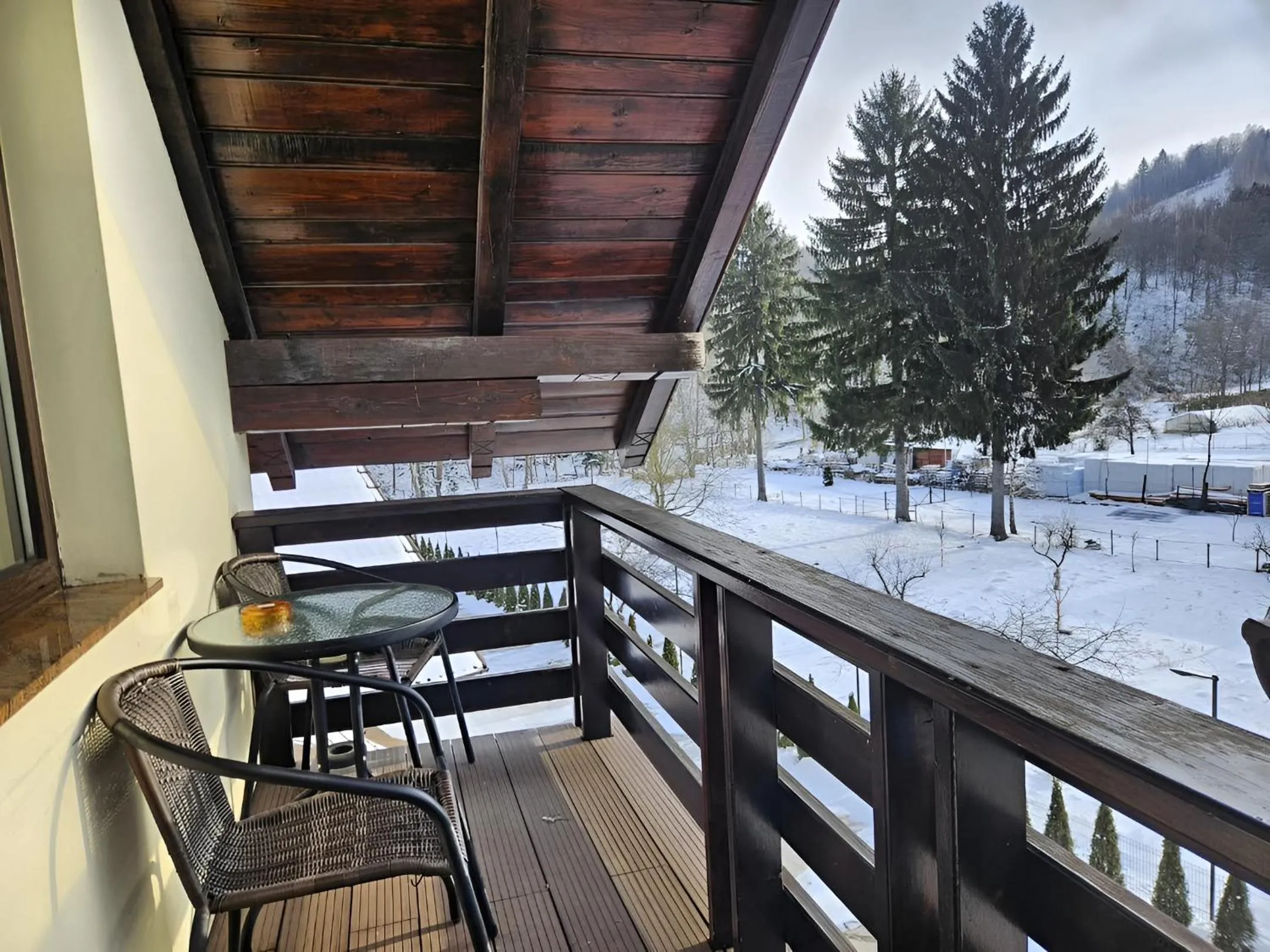 View (from property/room) in Pensiunea Andrei Moieciu