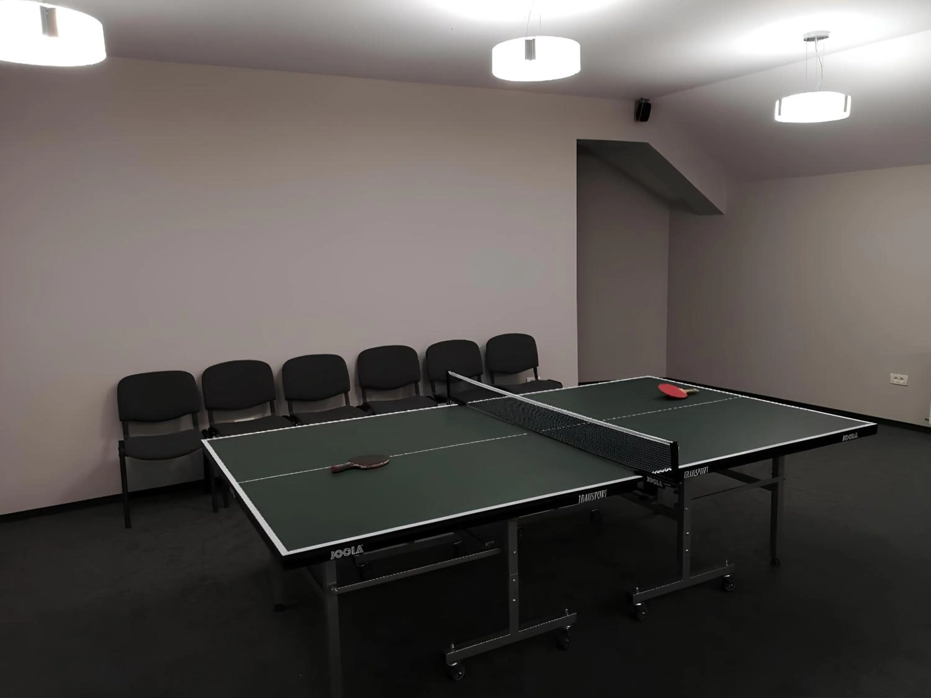 Game Room in Pensiunea Andrei Moieciu