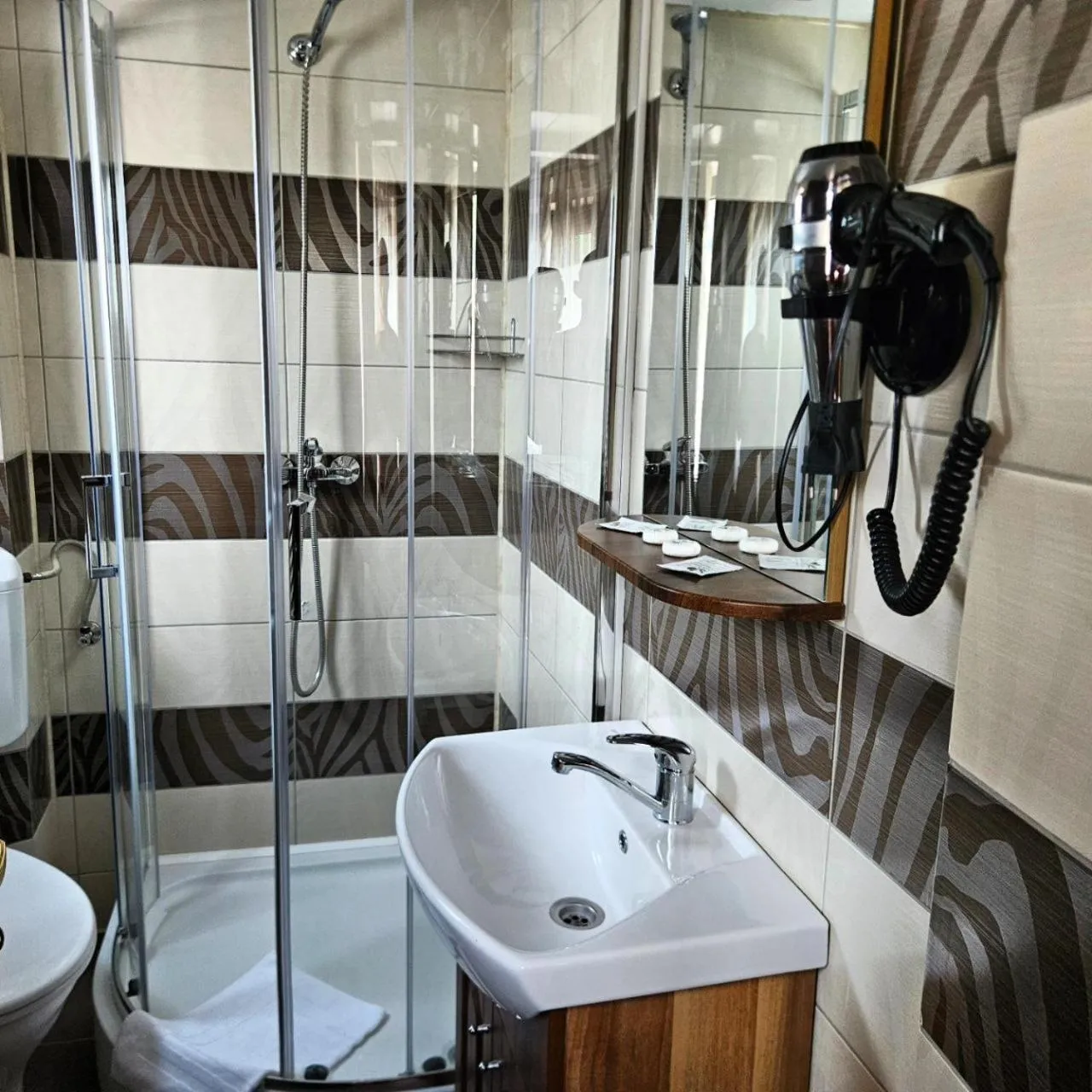 Shower in Pensiunea Andrei Moieciu