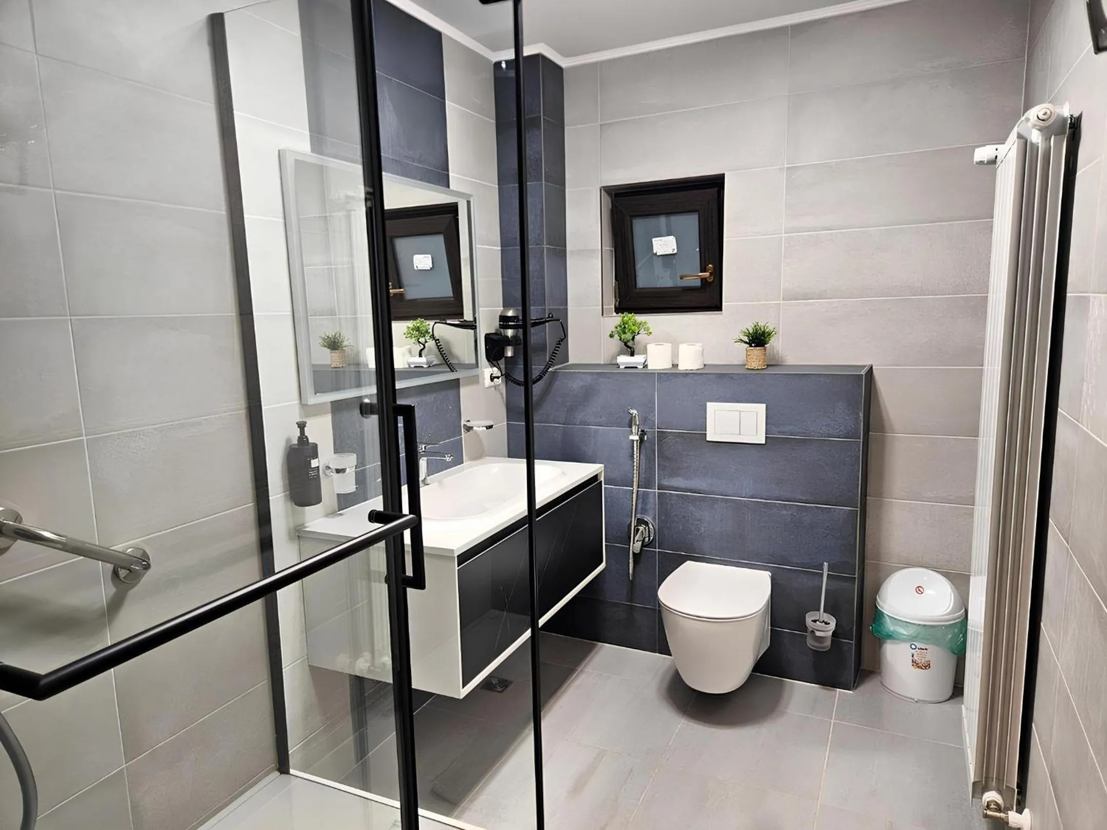 Shower in Pensiunea Andrei Moieciu