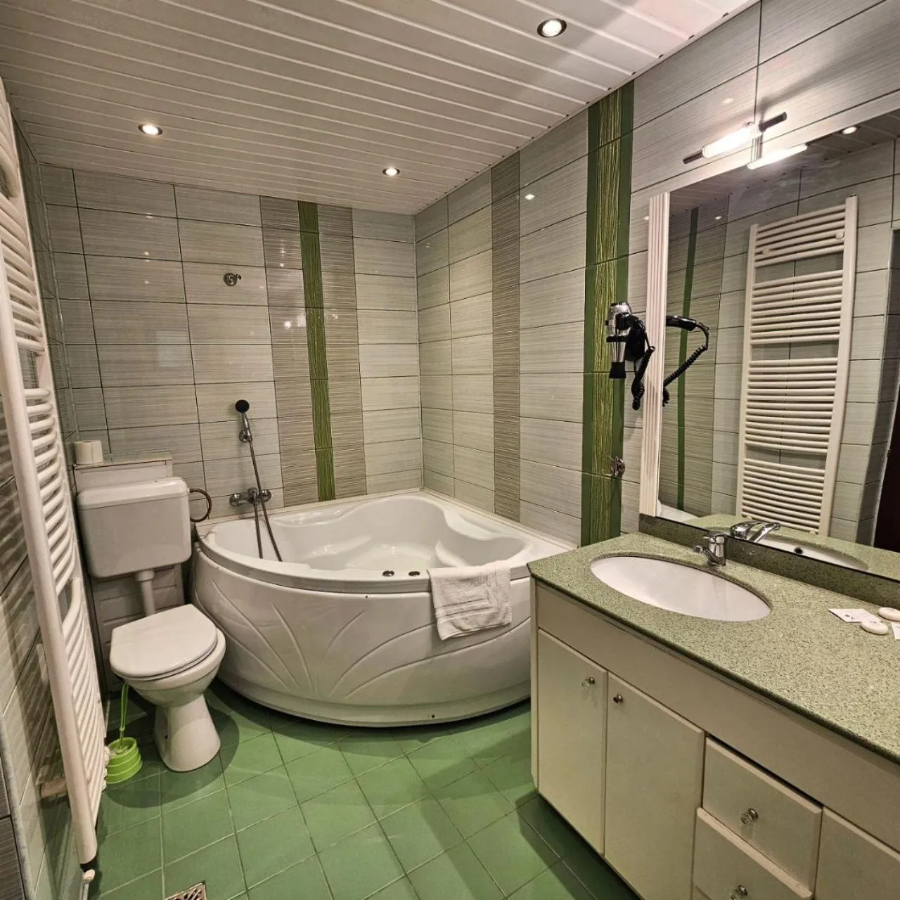 Shower in Pensiunea Andrei Moieciu