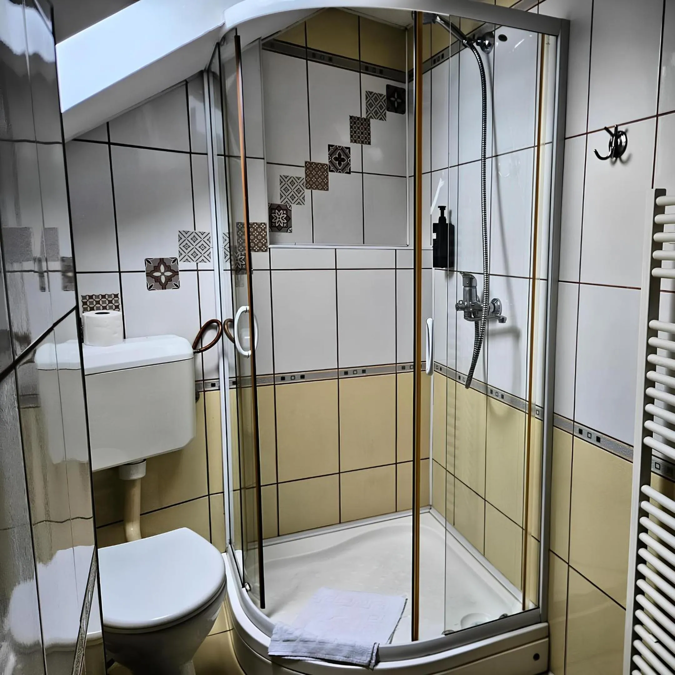 Shower in Pensiunea Andrei Moieciu