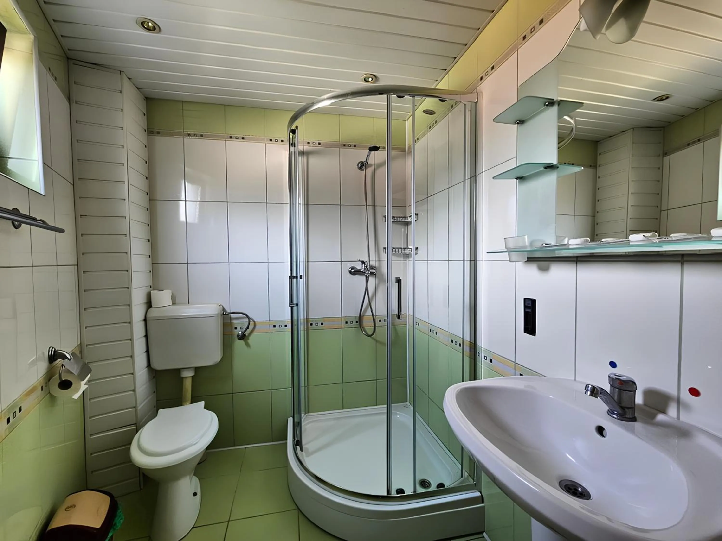 Shower in Pensiunea Andrei Moieciu