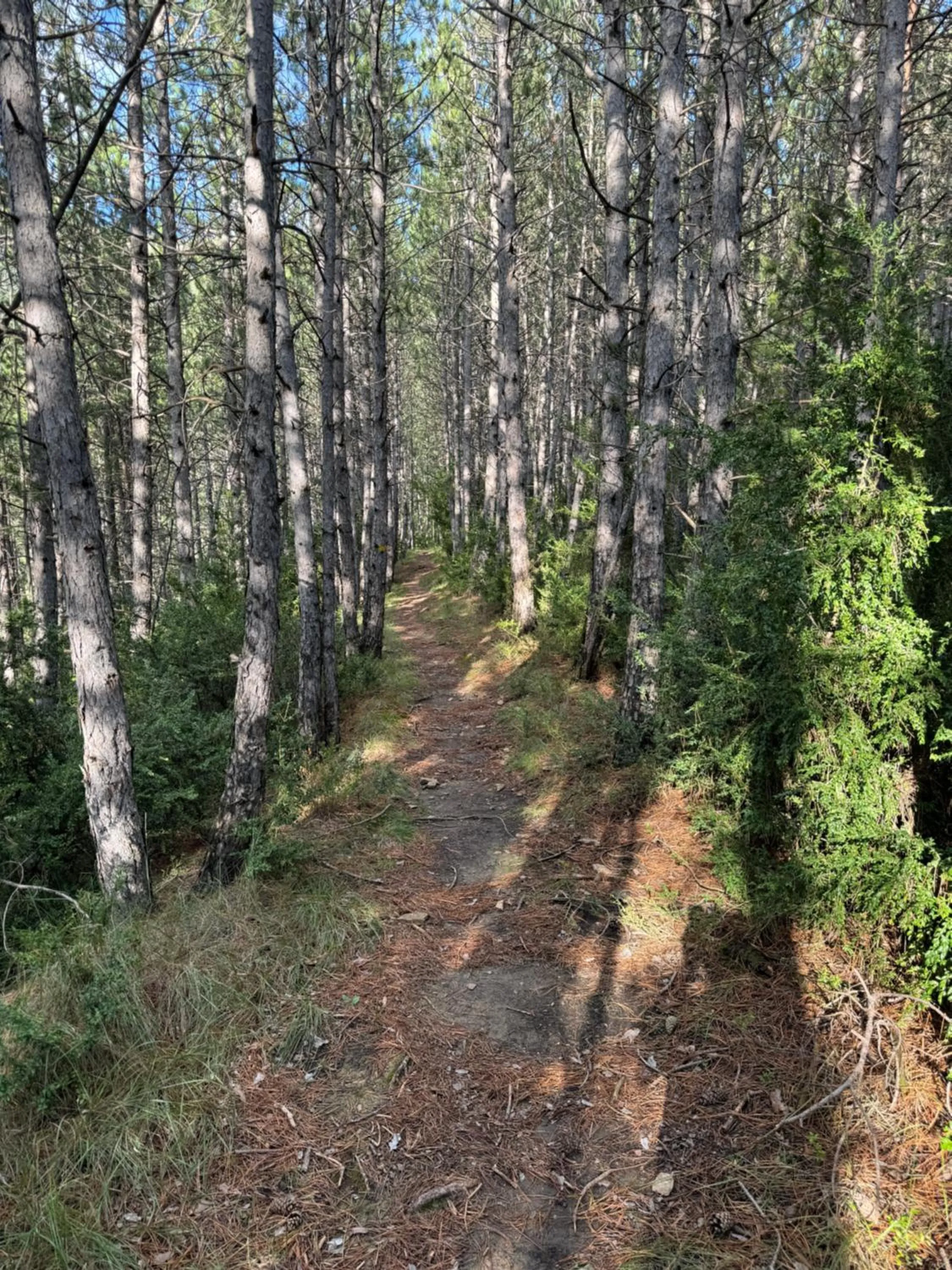 Natural landscape in Hotel Cotiella